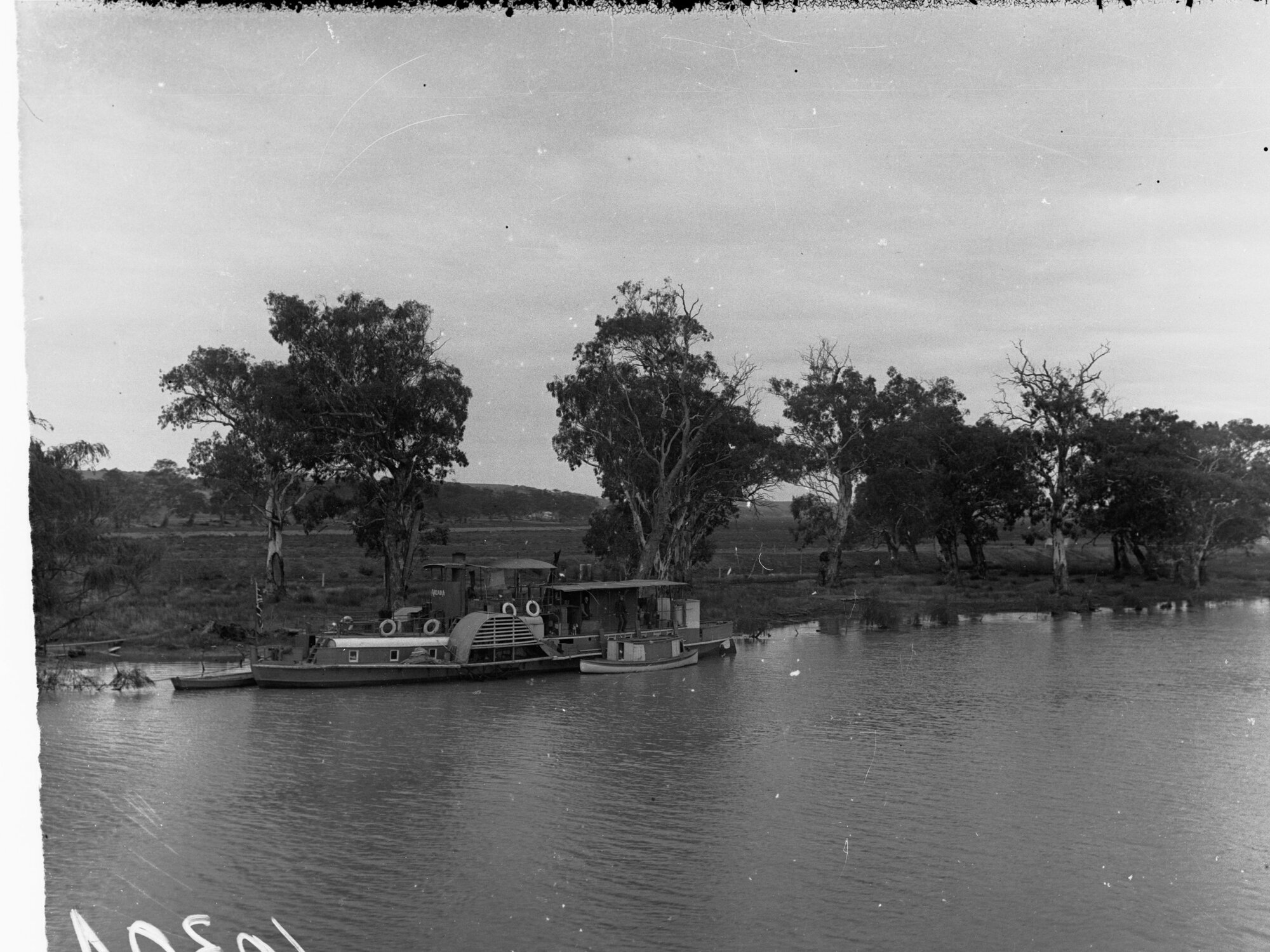 Paddlesteamer Arcadia on the River Murray