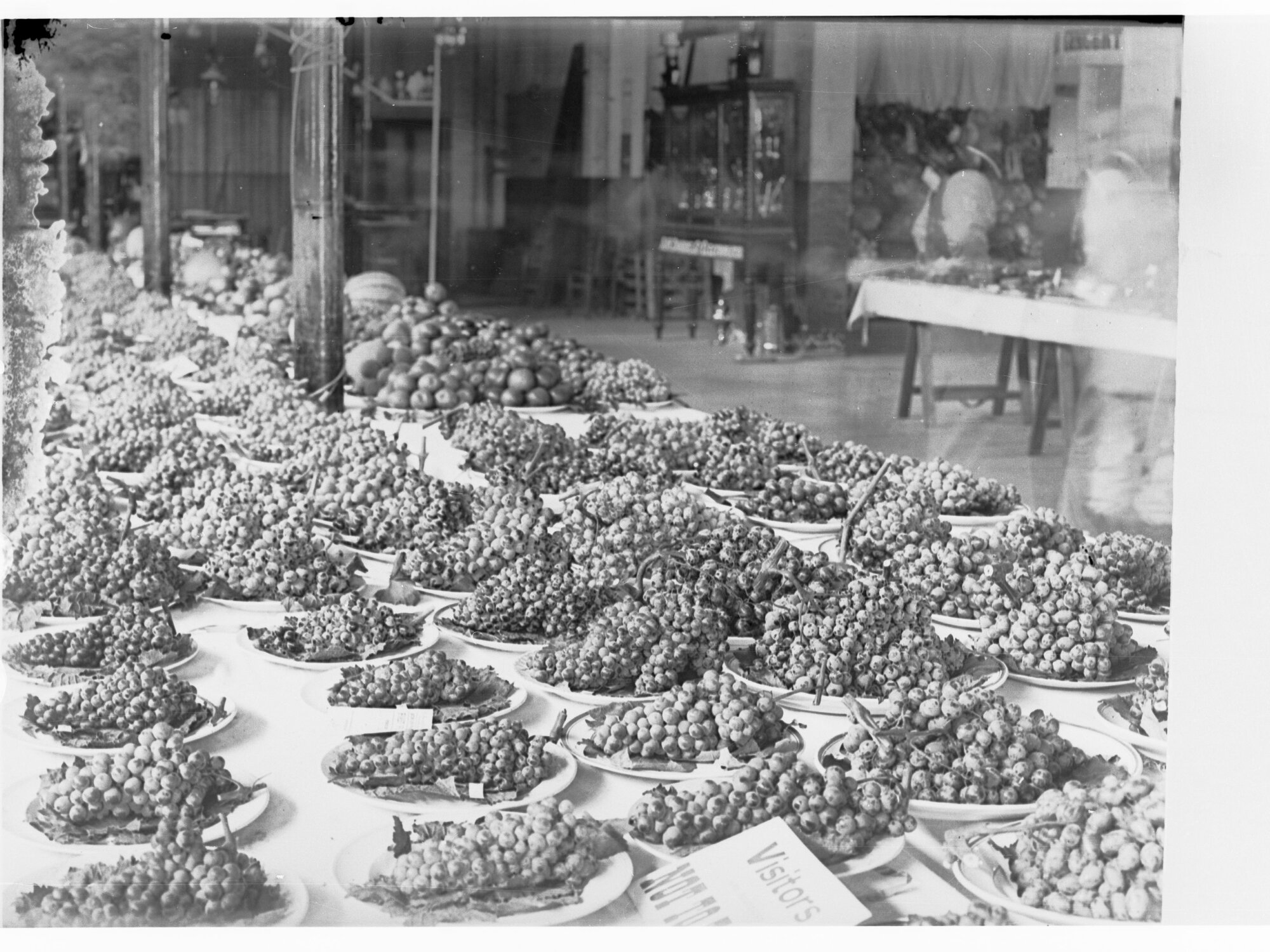 Fruit Exhibition - Royal Adelaide Show