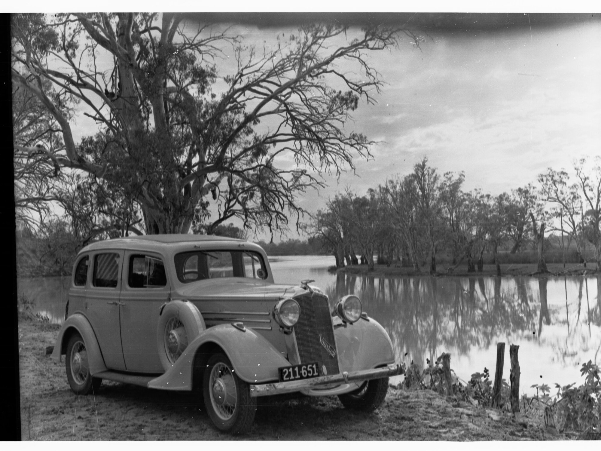 River Murray Near Kingston