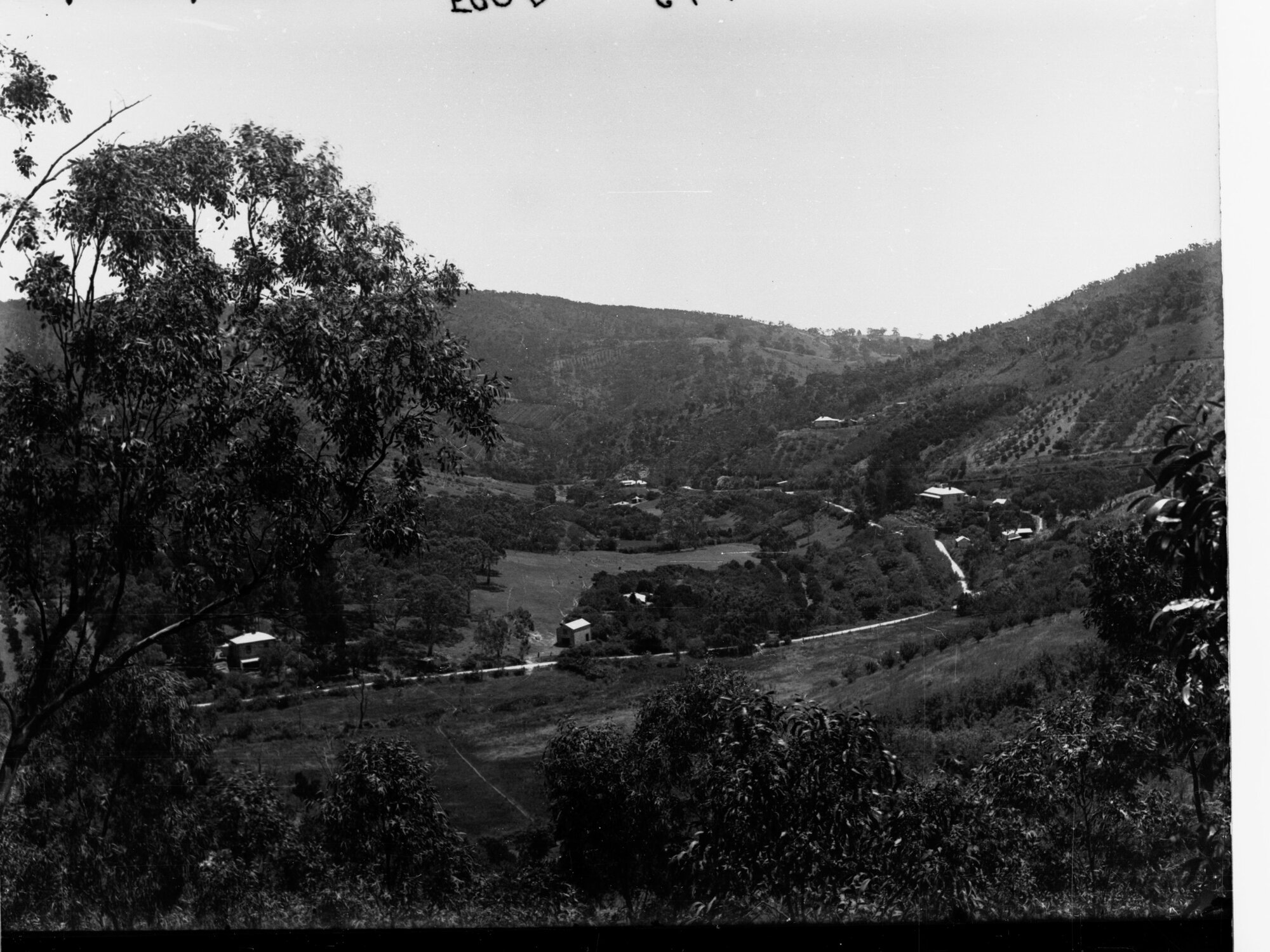 View of Farms and Orchards, Institute Road, Montacute