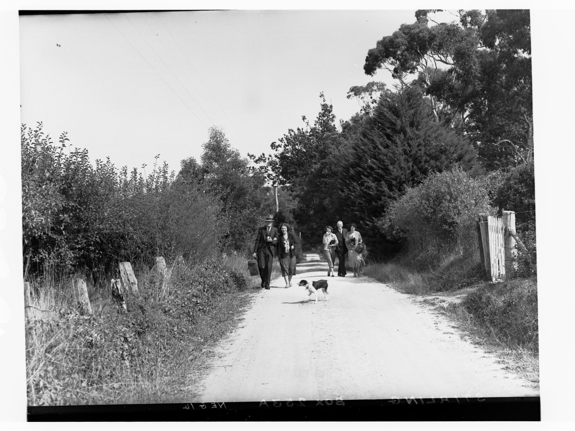 Men and women strolling along a road at Stirling