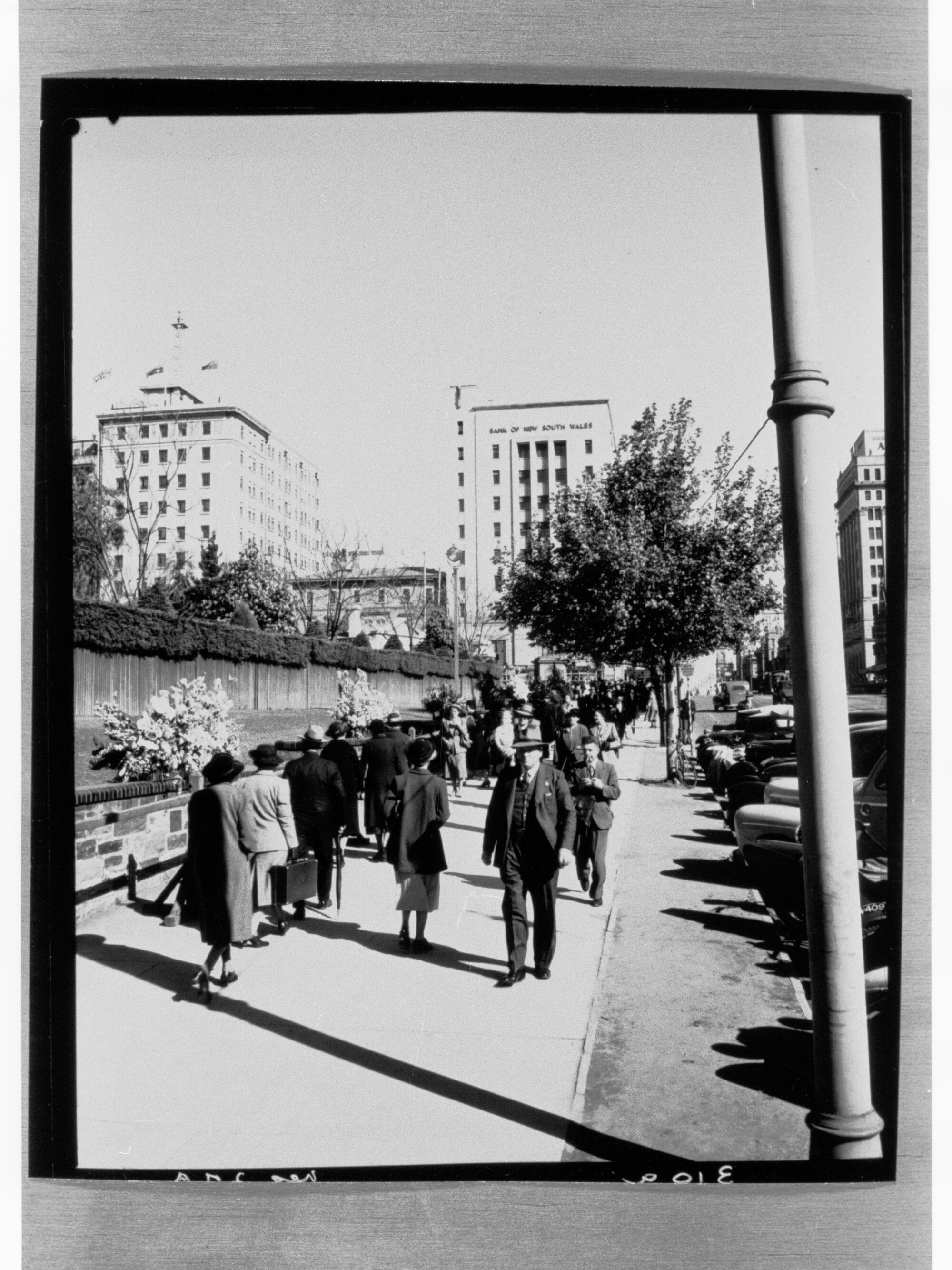 National Flower Day Festival held in Adelaide on the 21st September 1949
