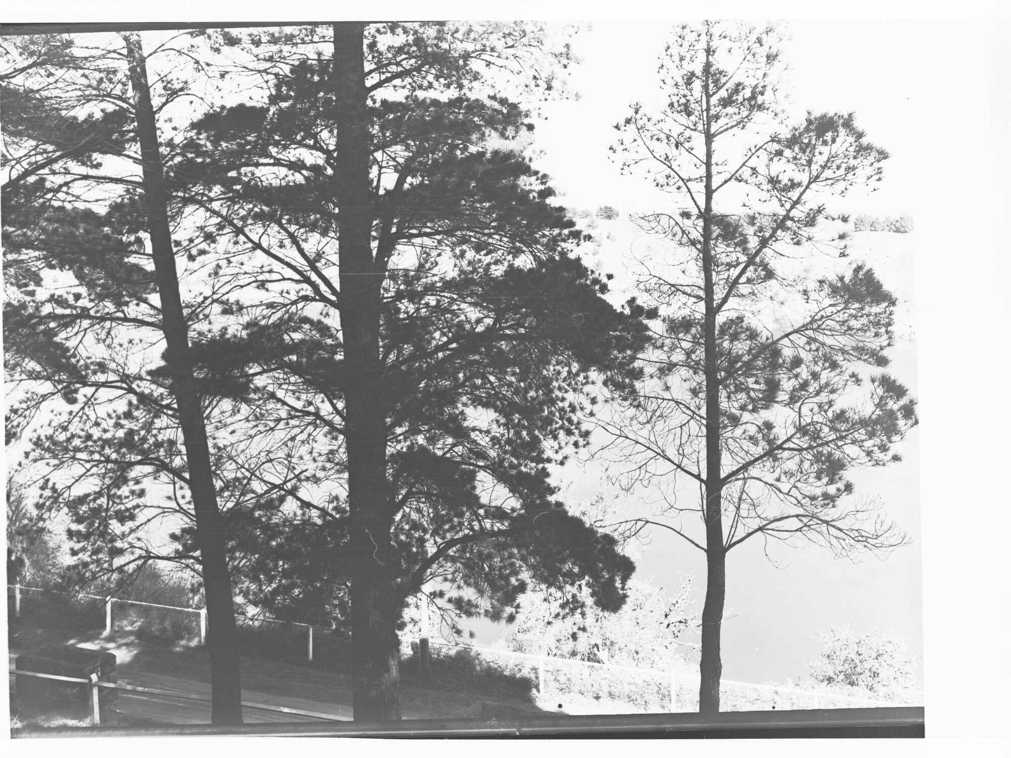 Bay Road 