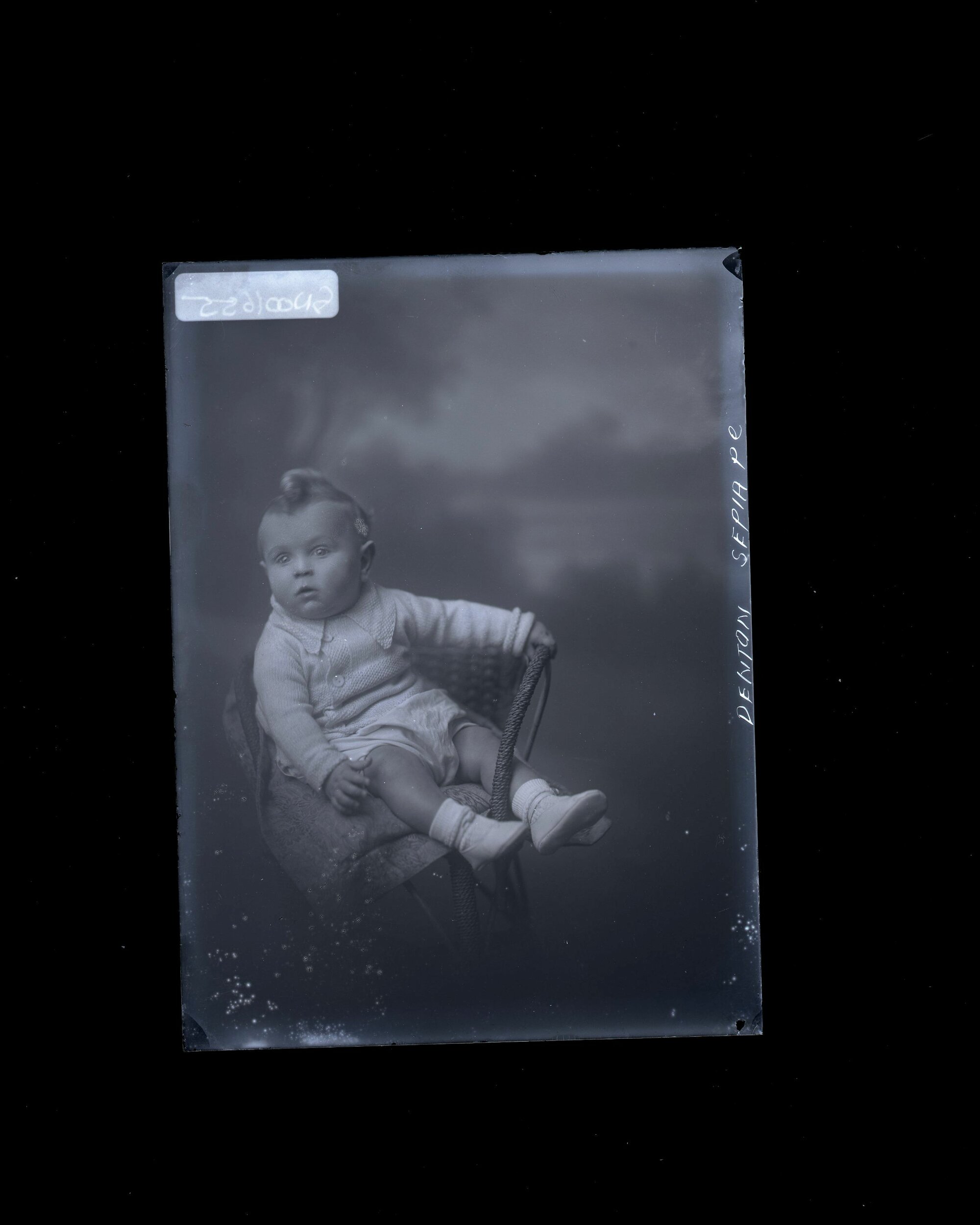 Infant - Penton