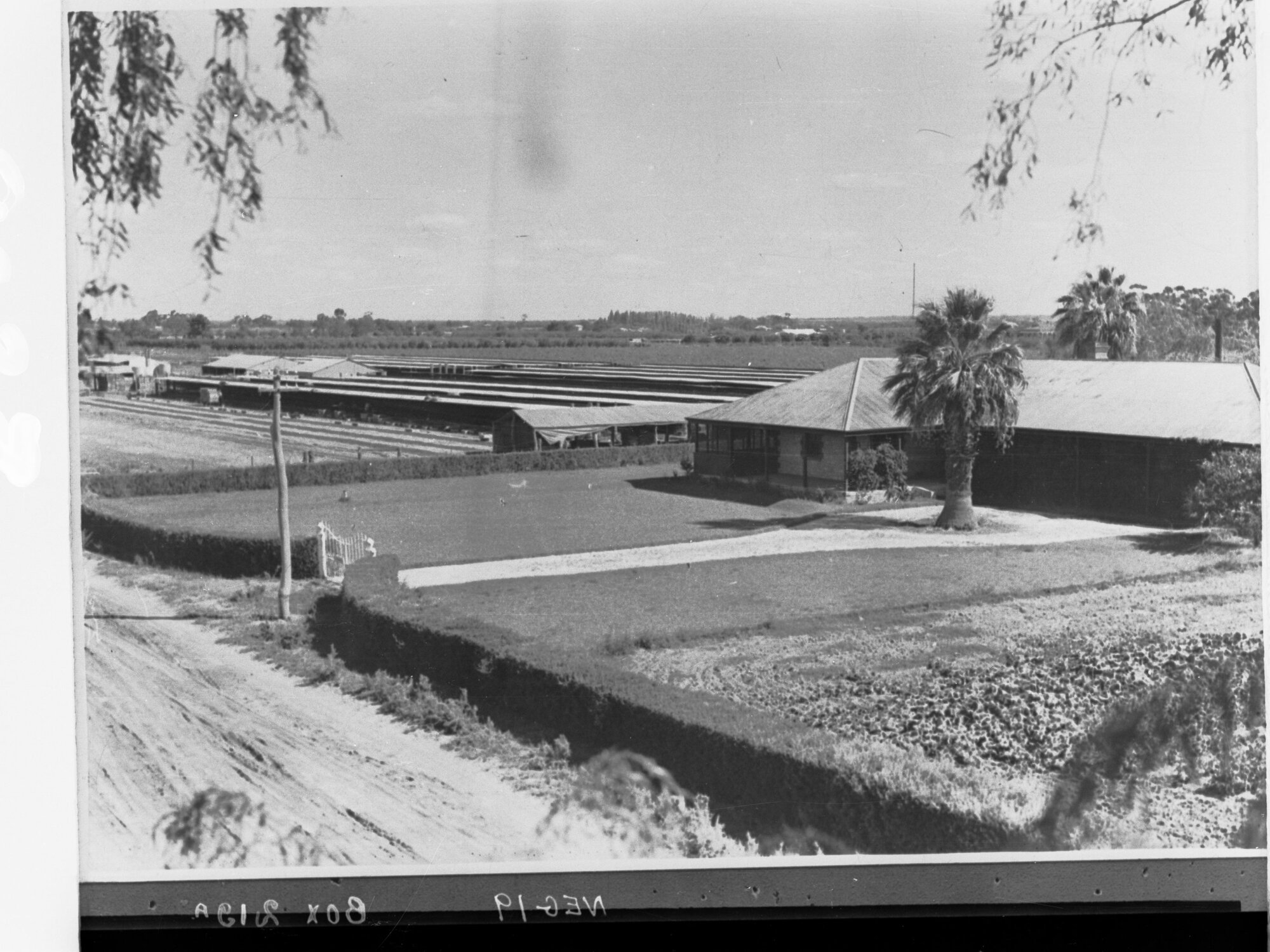 Farmhouse and Yards
