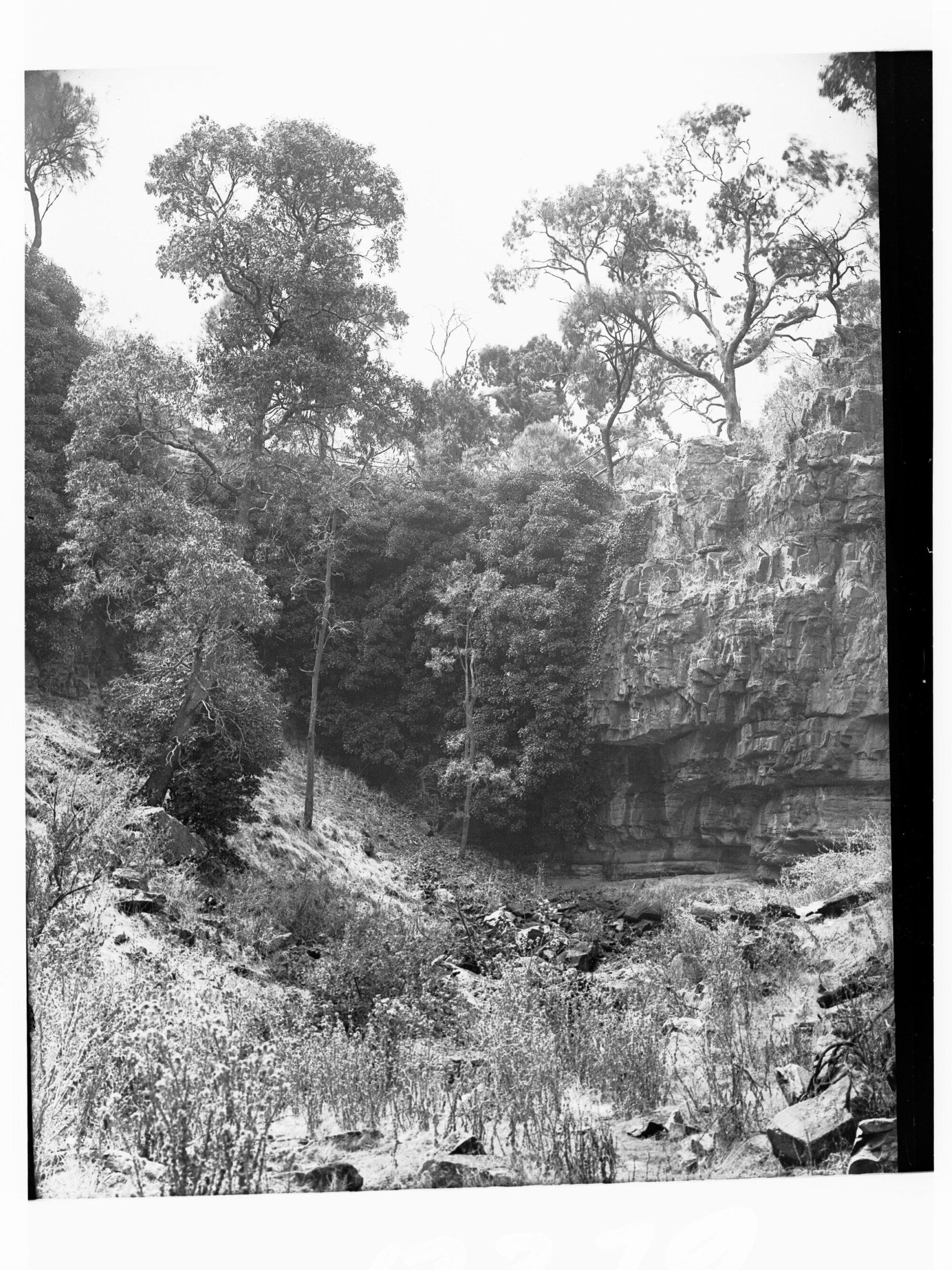 Belair National Park
