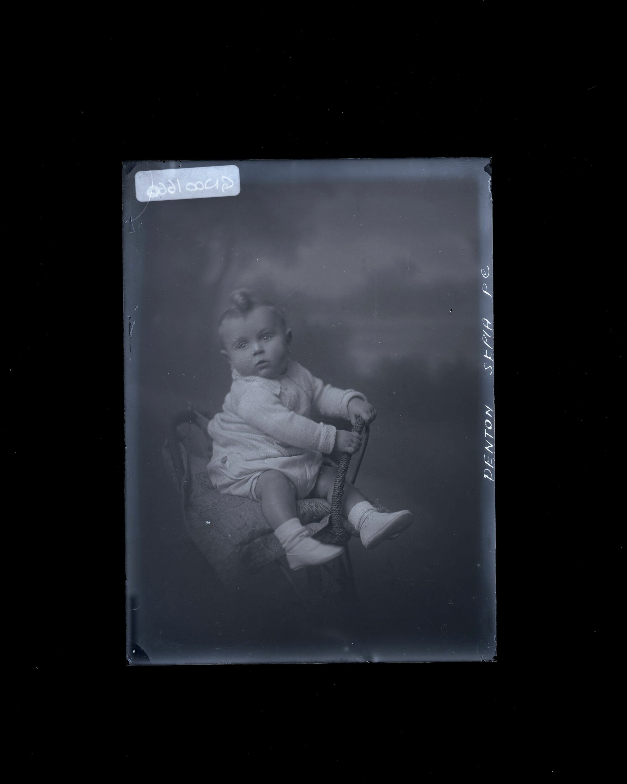 Infant - Denton
