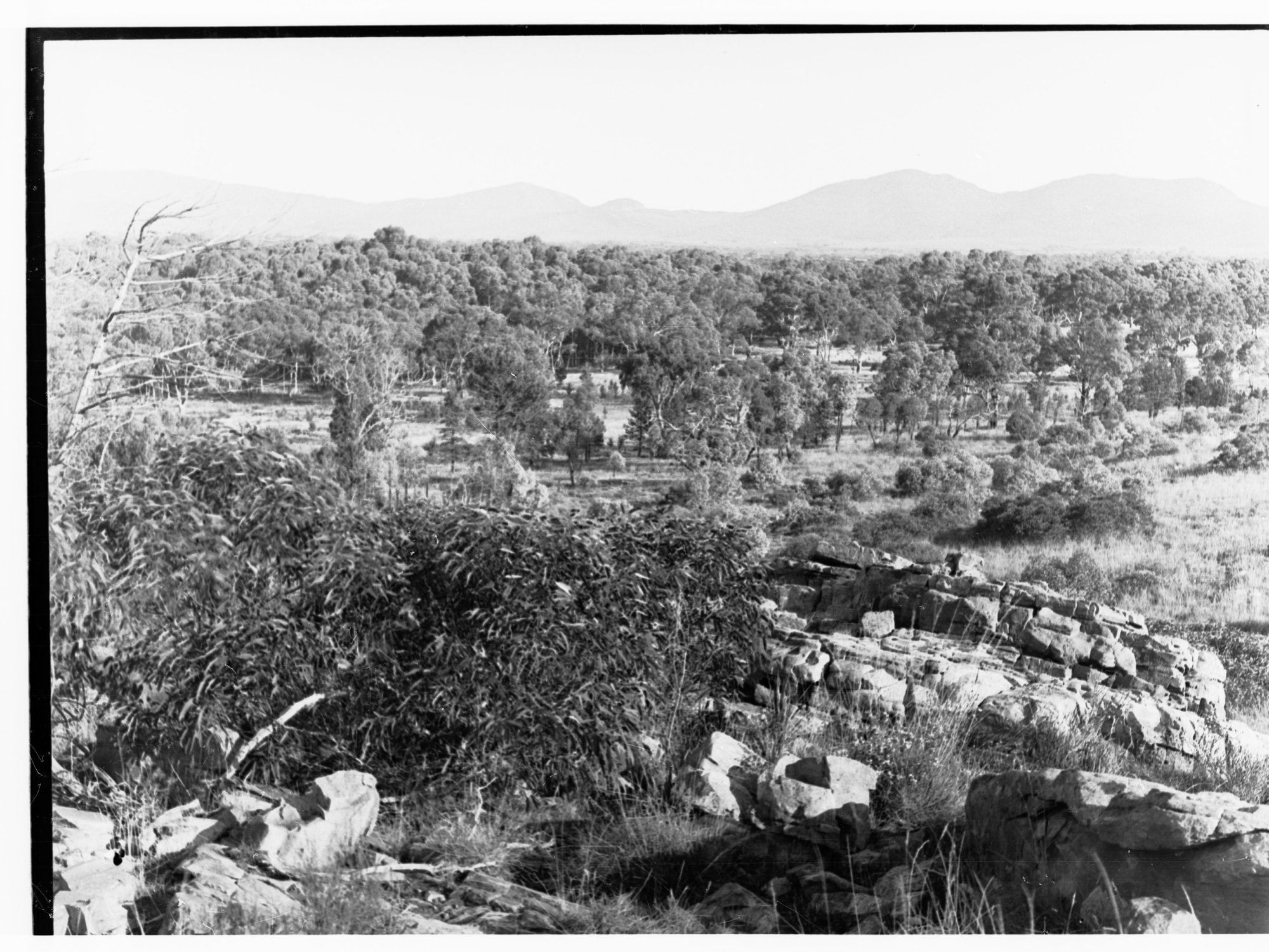Flinders Ranges