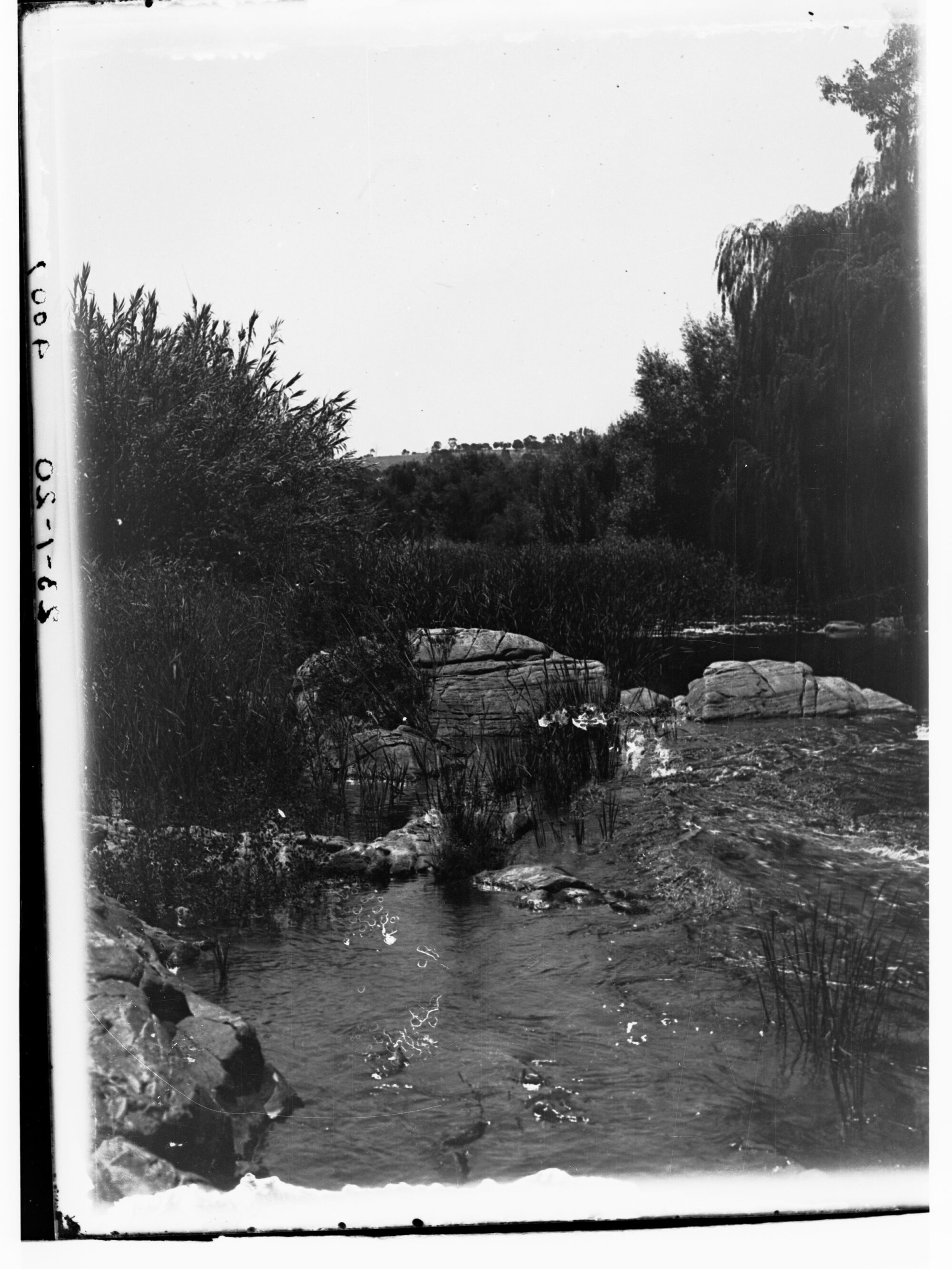 River Torrens at Paradise