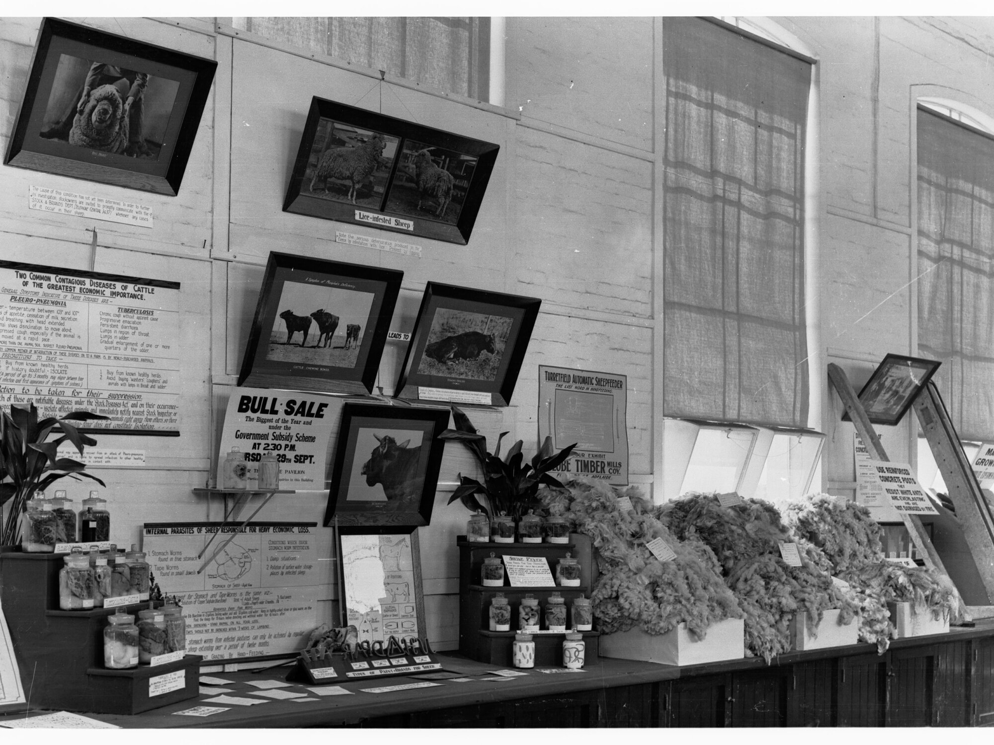 Agricultural Hall, Royal Adelaide Show, Wool Display