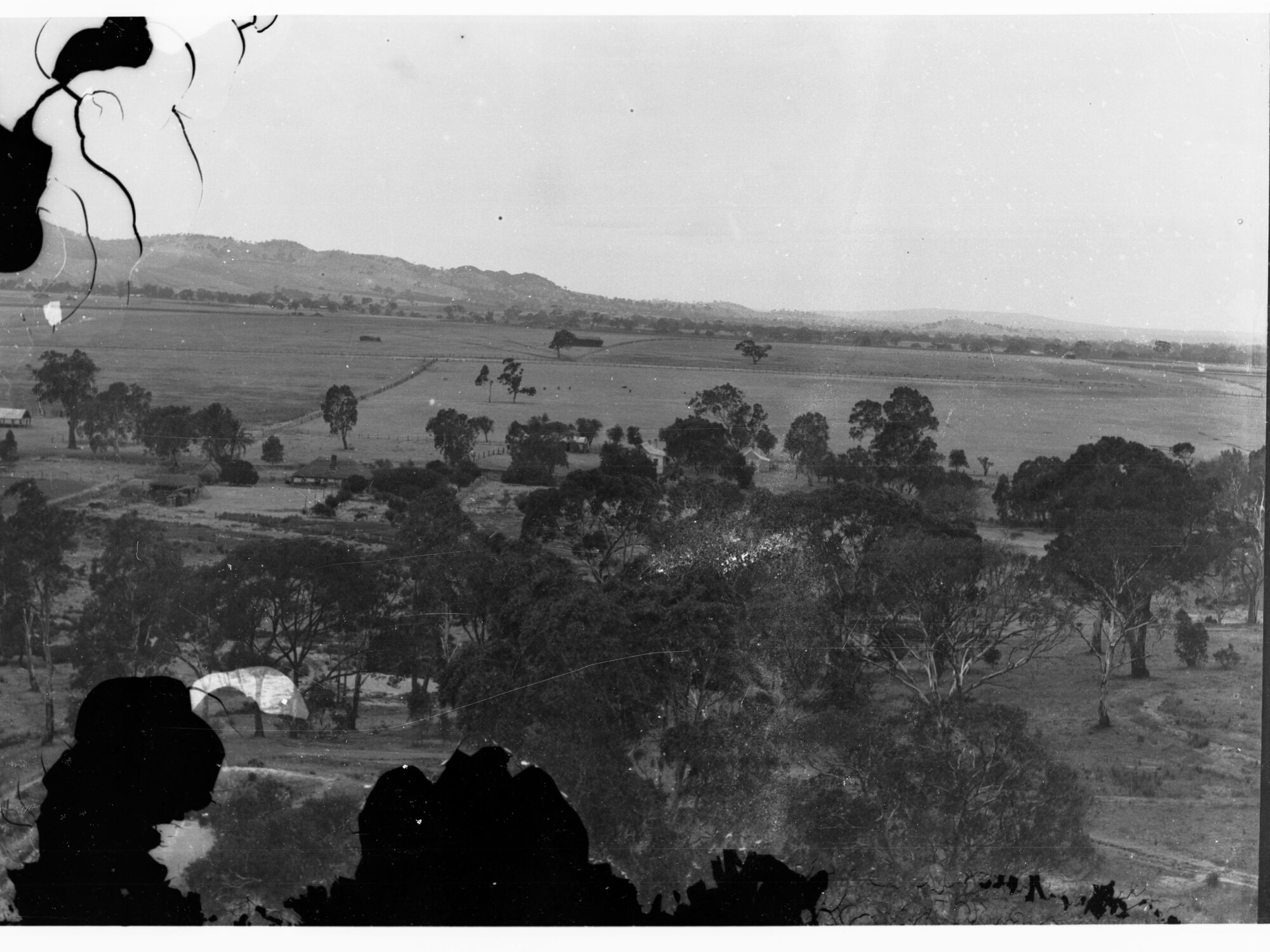 Tanunda showing rural view