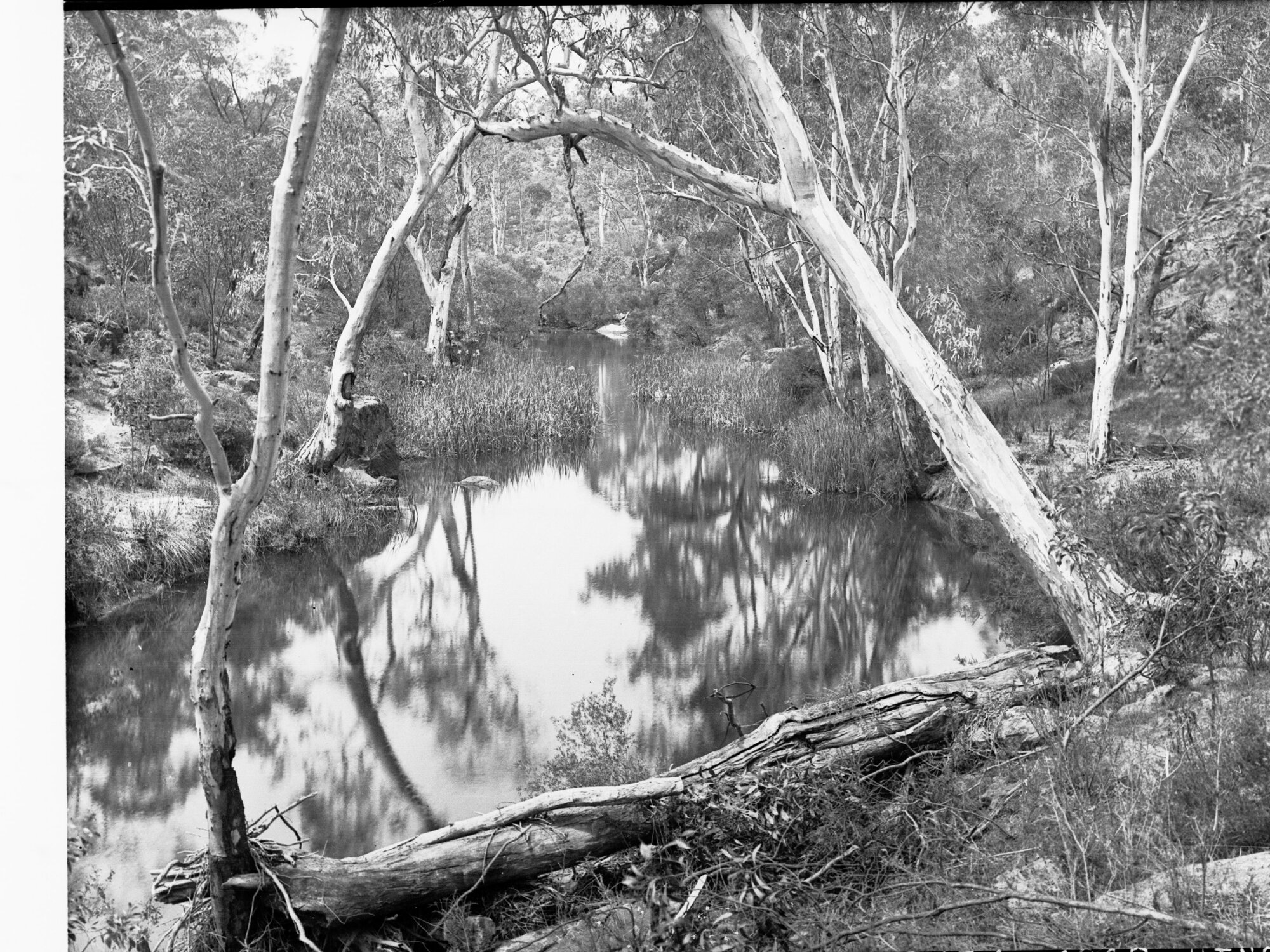 Para River South Near Williamstown