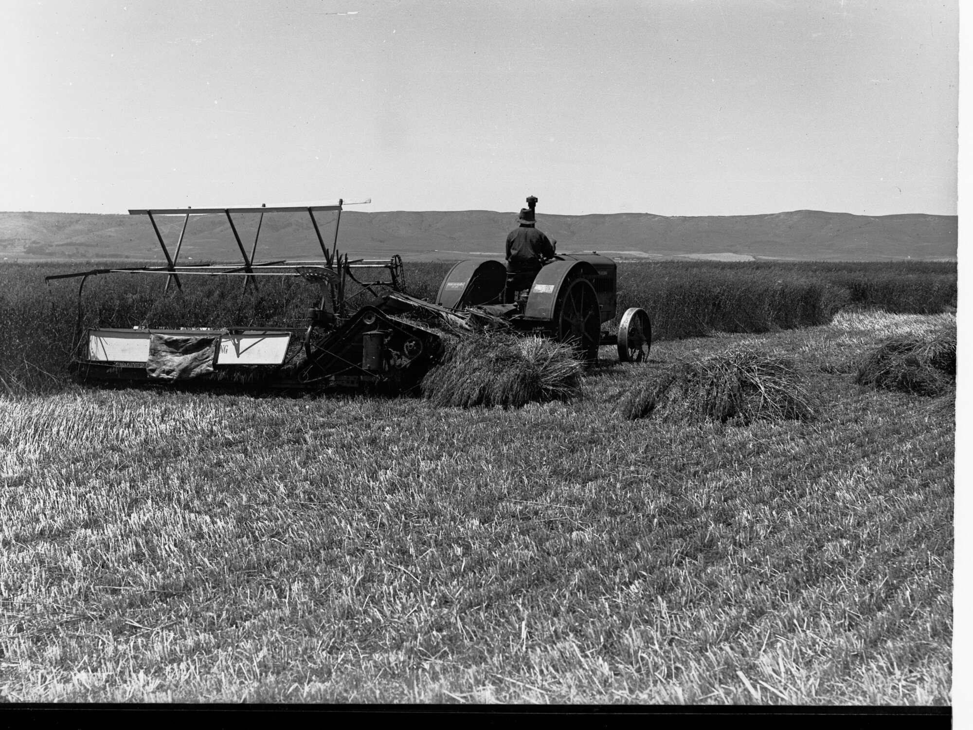 Hay Making at Aldinga