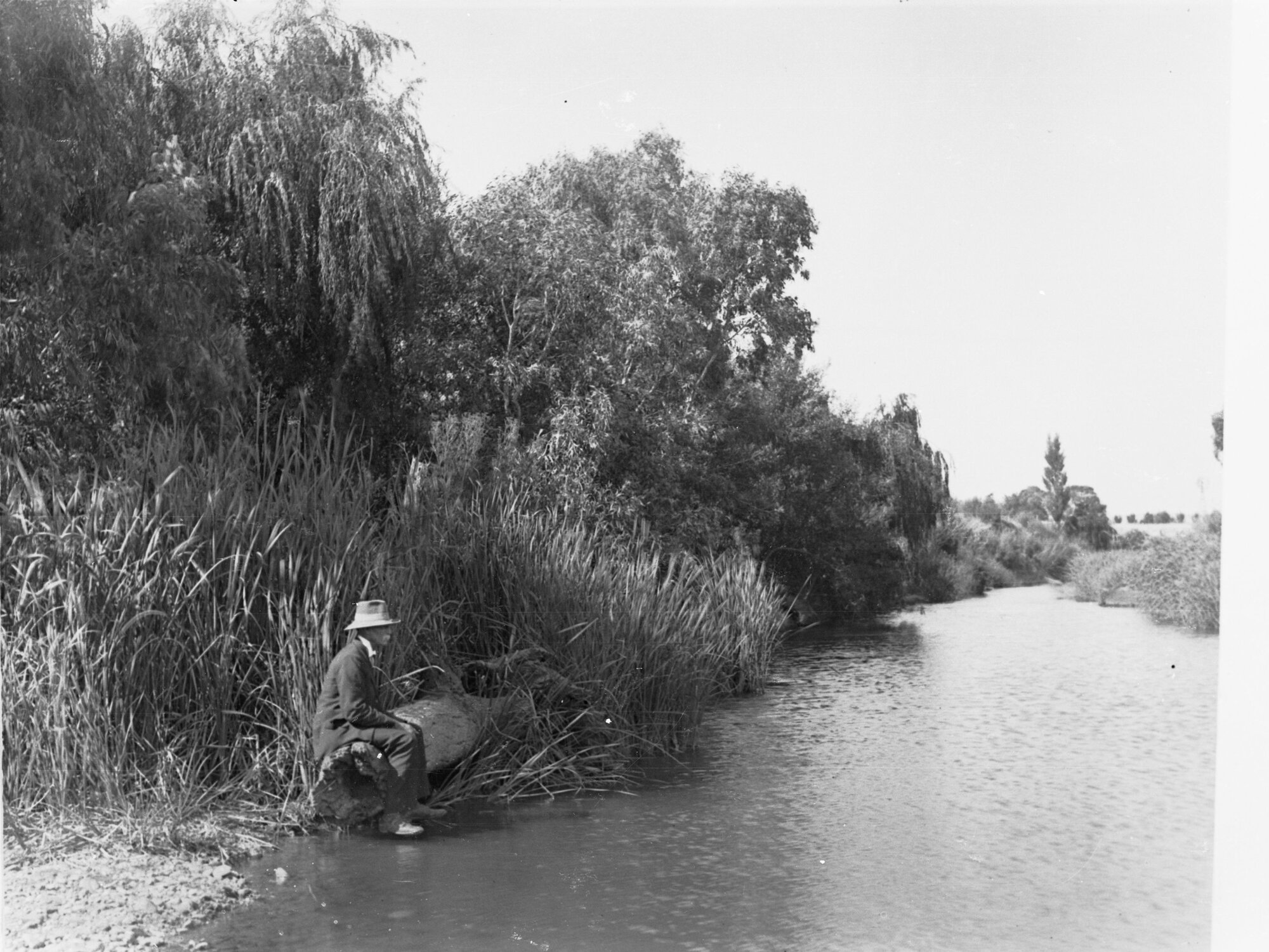 River Torrens showing man sitting on tree trunk