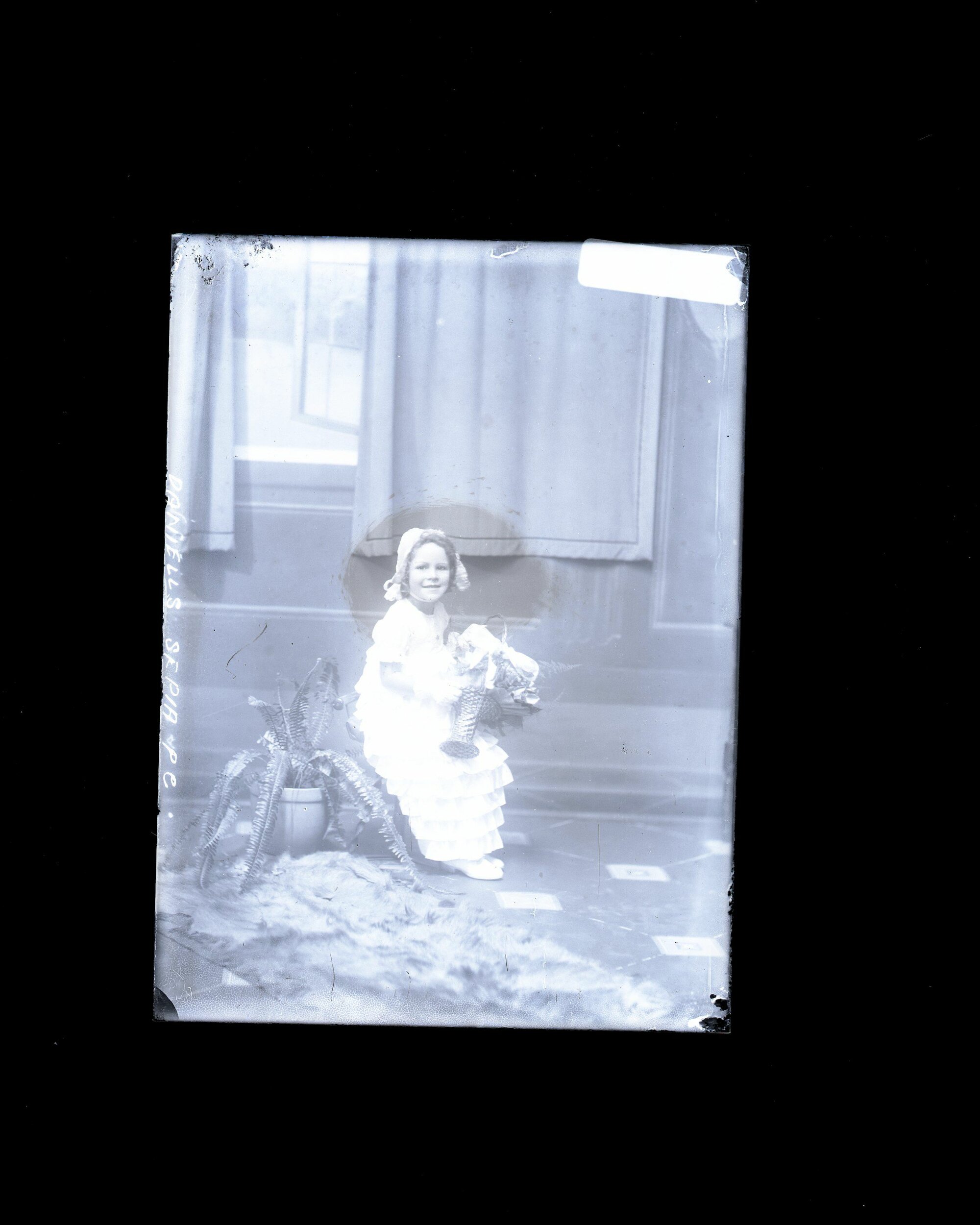Girl - Daniells