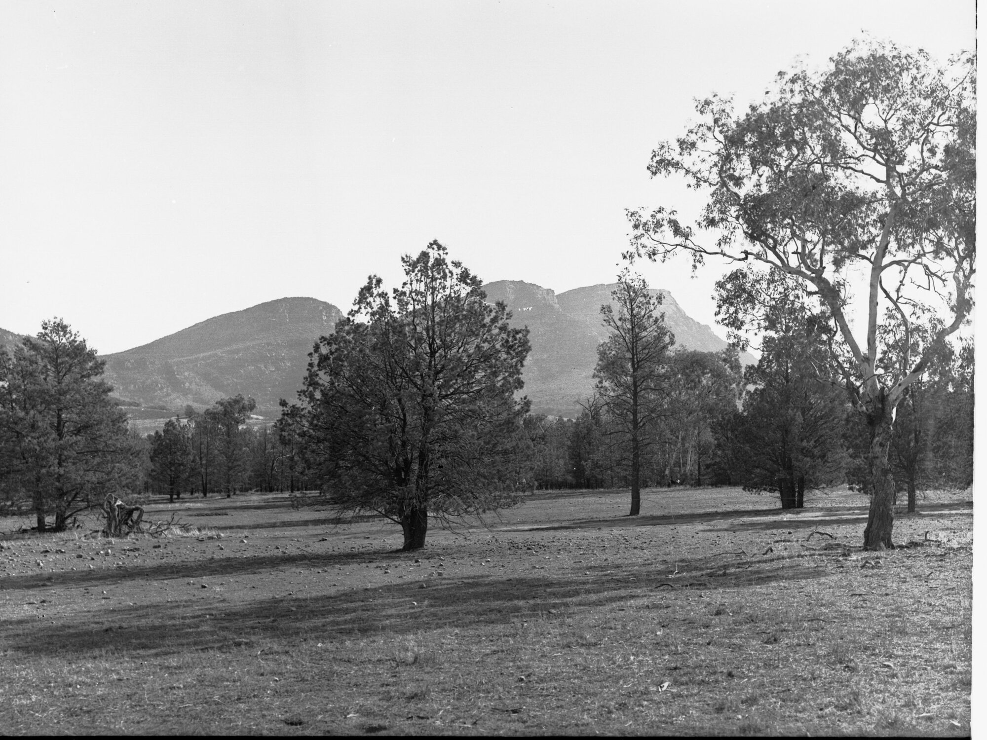 Rawnsleys Blue Near Wilpena Pound Flinders Ranges | History Trust