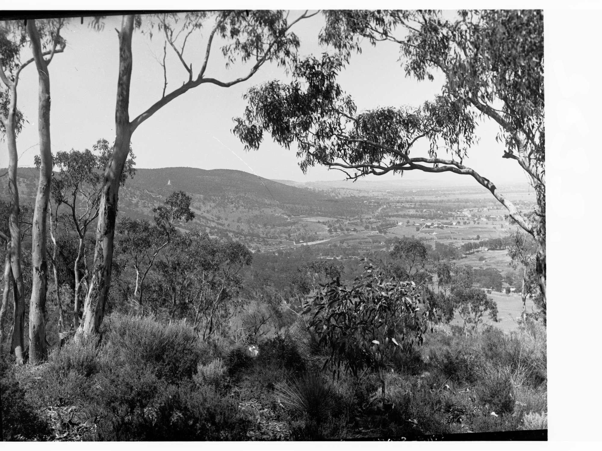 Anstey's Hill - trees and hills