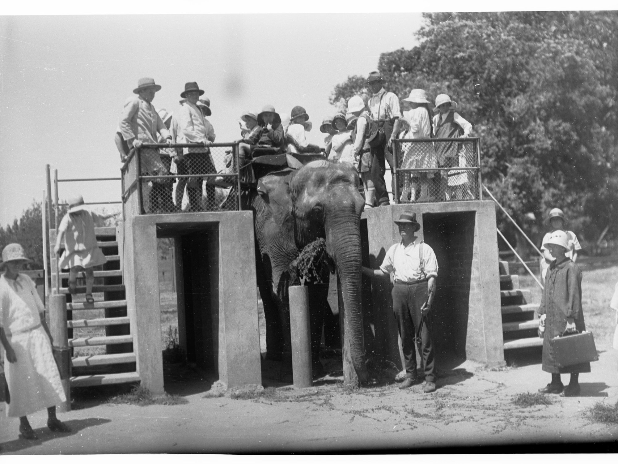 Elephant Ride Station at the Adelaide Zoo
