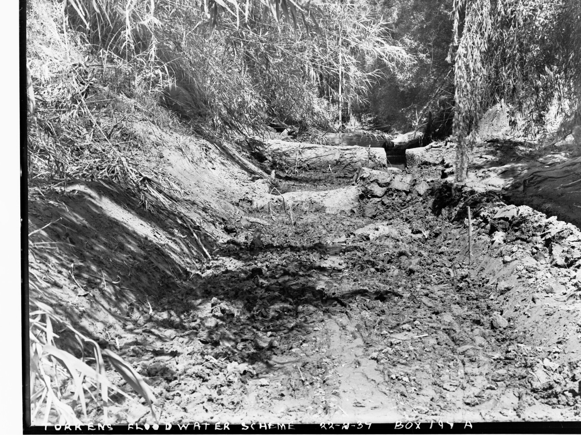 Torrens Floodwater Scheme