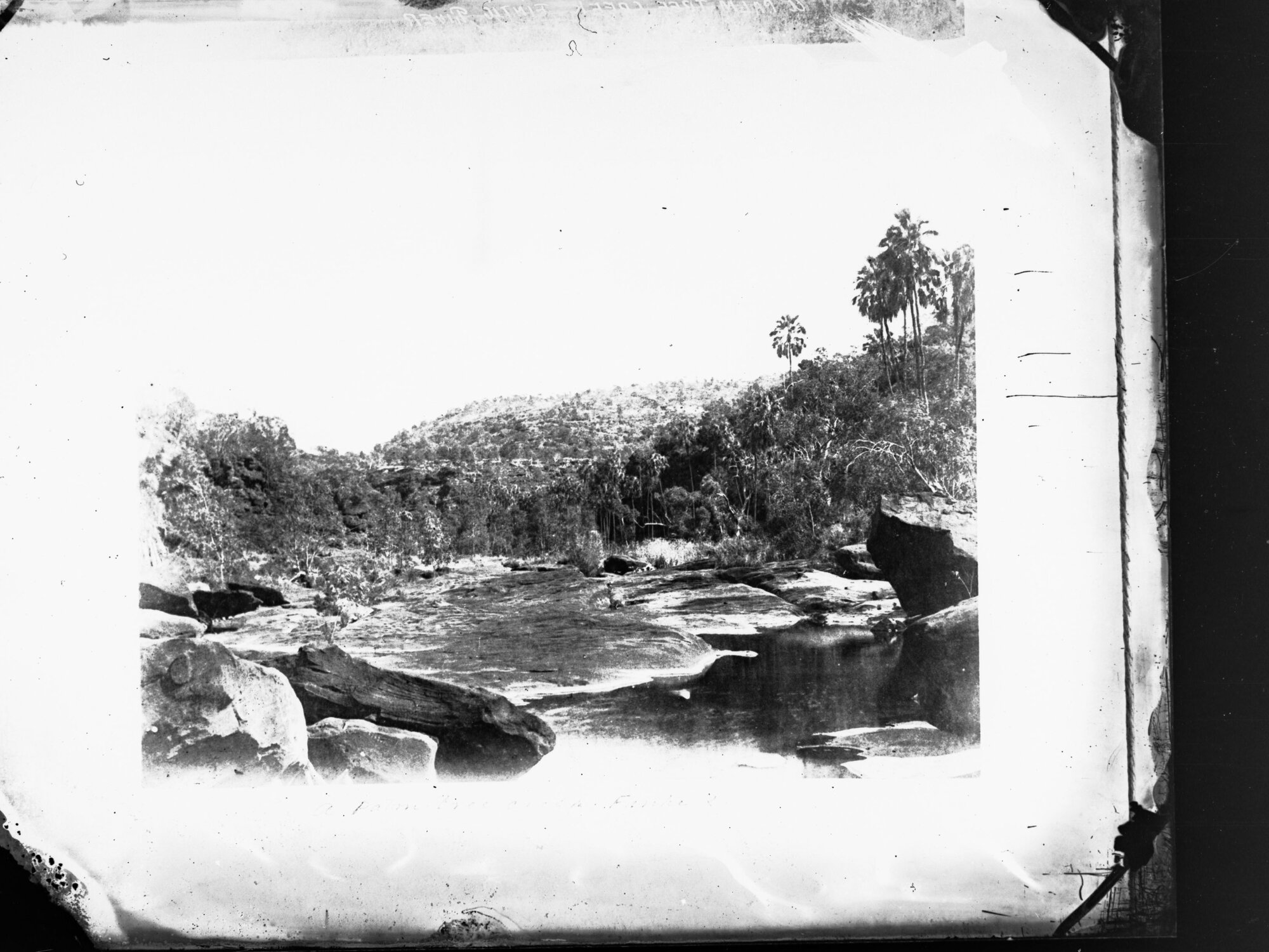Palm Tree Creek Finke River, Northern Territory