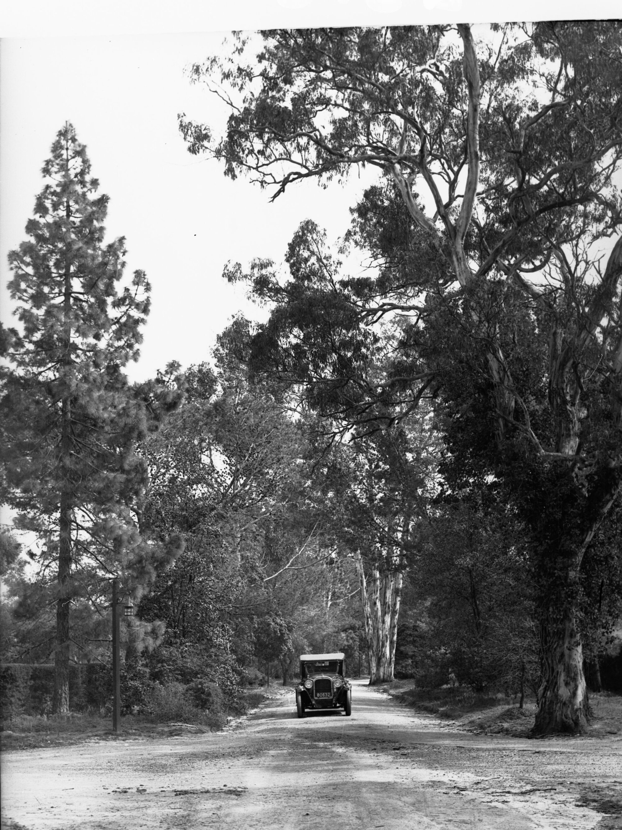 Automobile on a Road at Springfield | History Trust