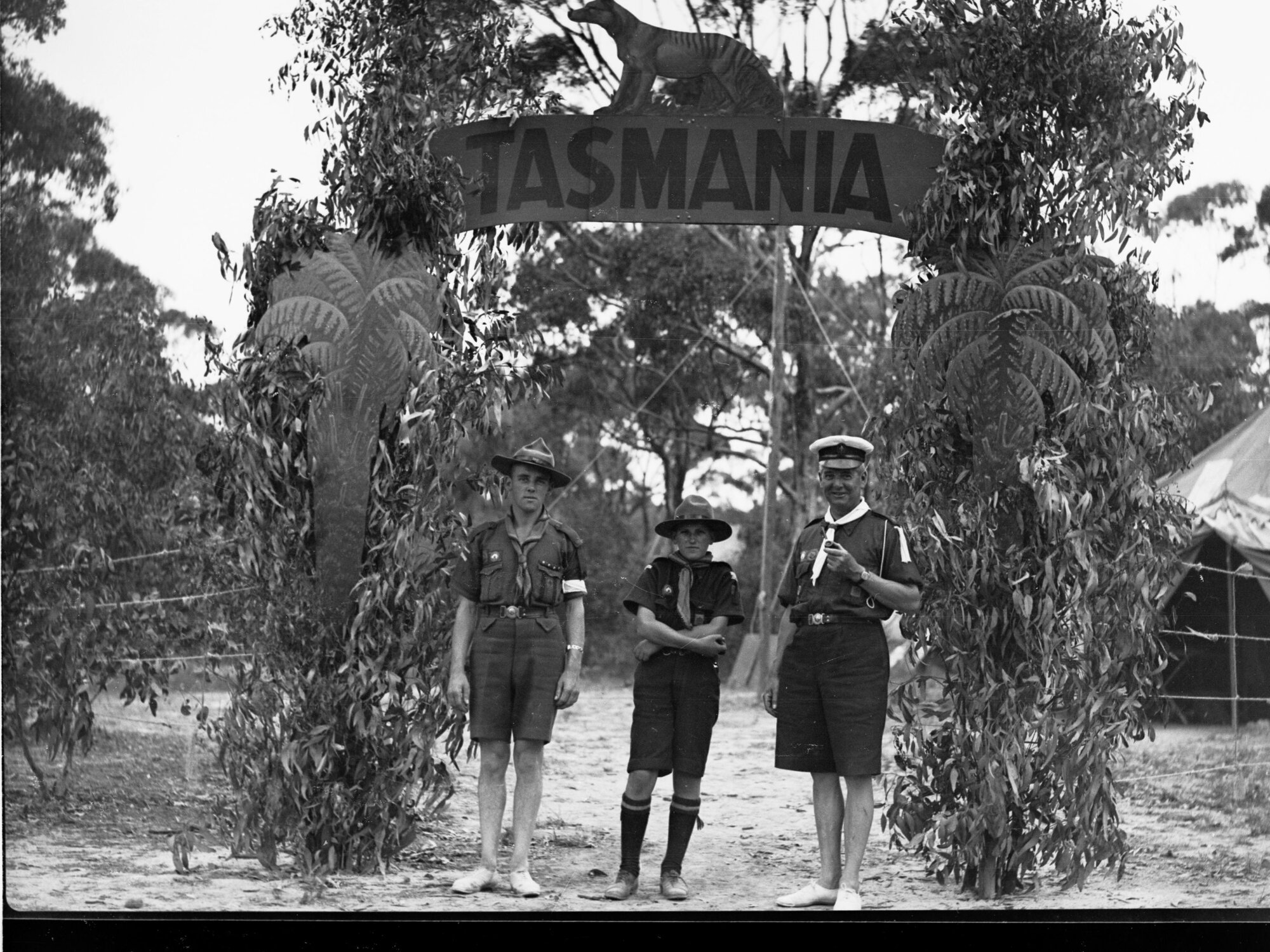 Boy Scout camp at Belair showing scouts from Tasmania