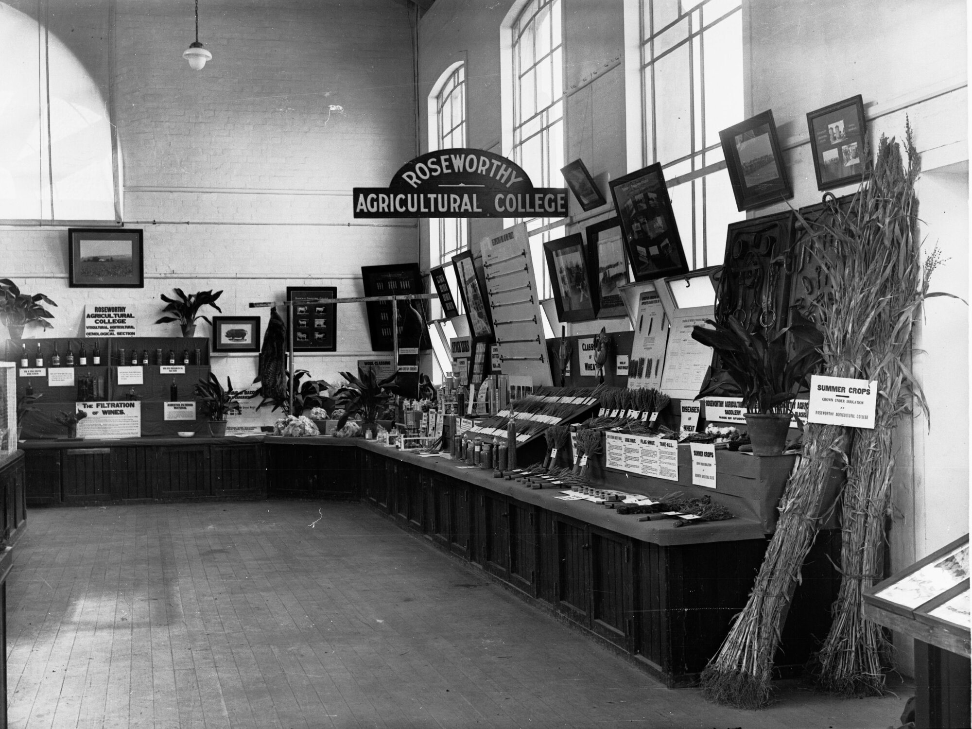 Roseworthy College Exhibit Royal Adelaide Show Agricultural Hall