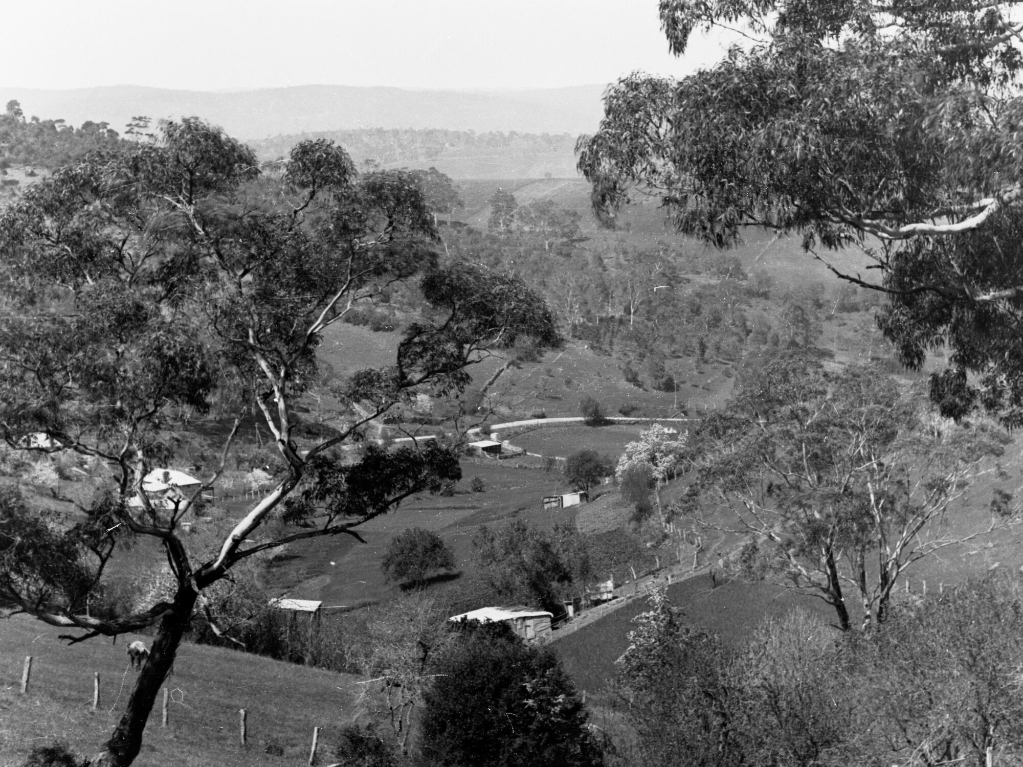 Farm at Blackwood