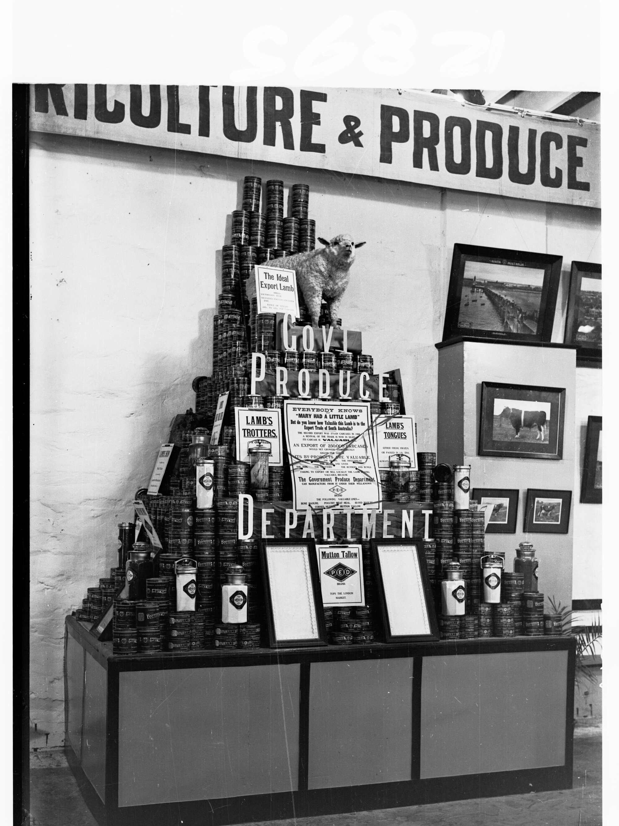 Agricultural Exhibition Government Department Display