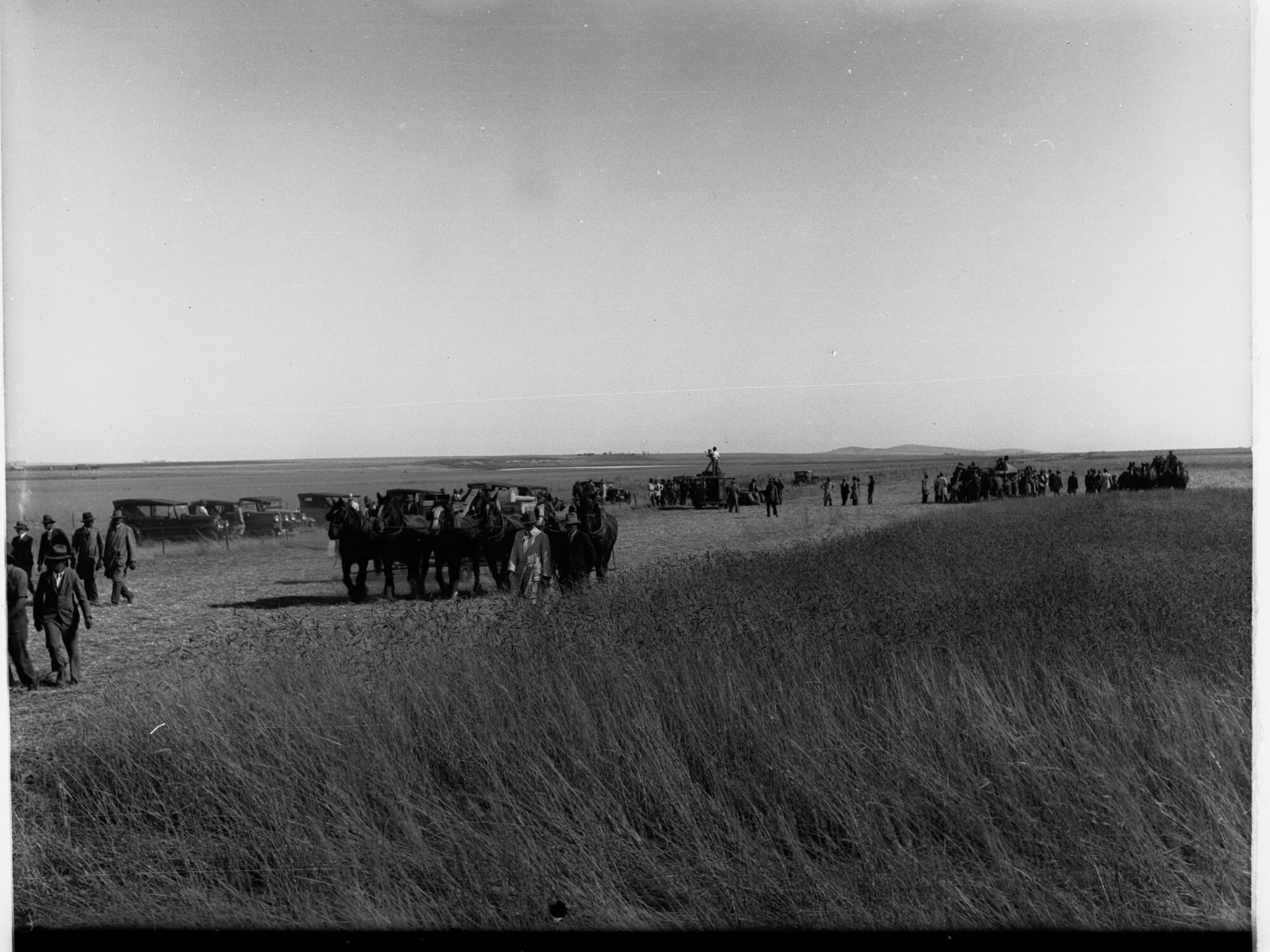 Lake View Field Trials Harvesters in a Field