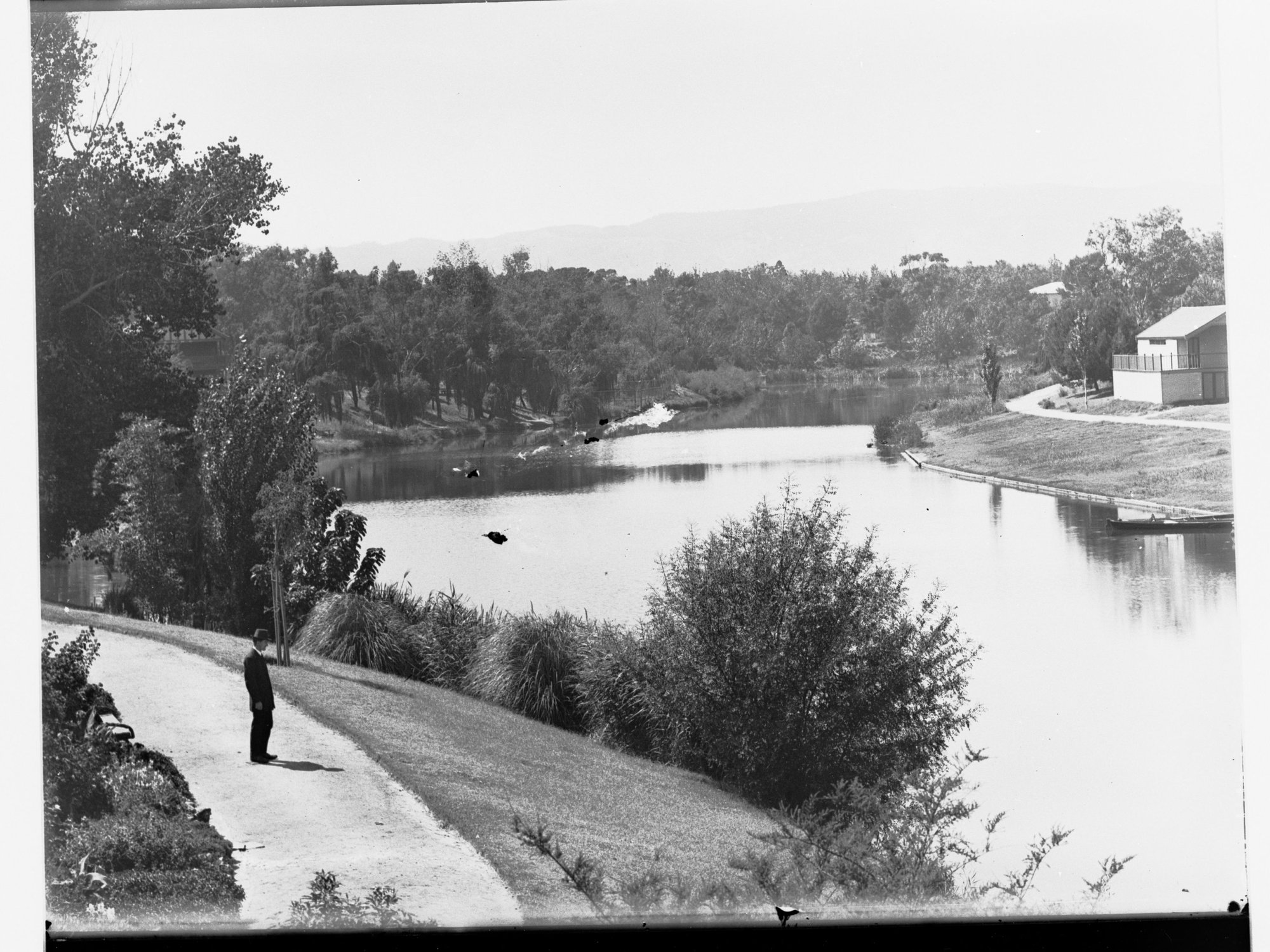 A view of the River Torrens