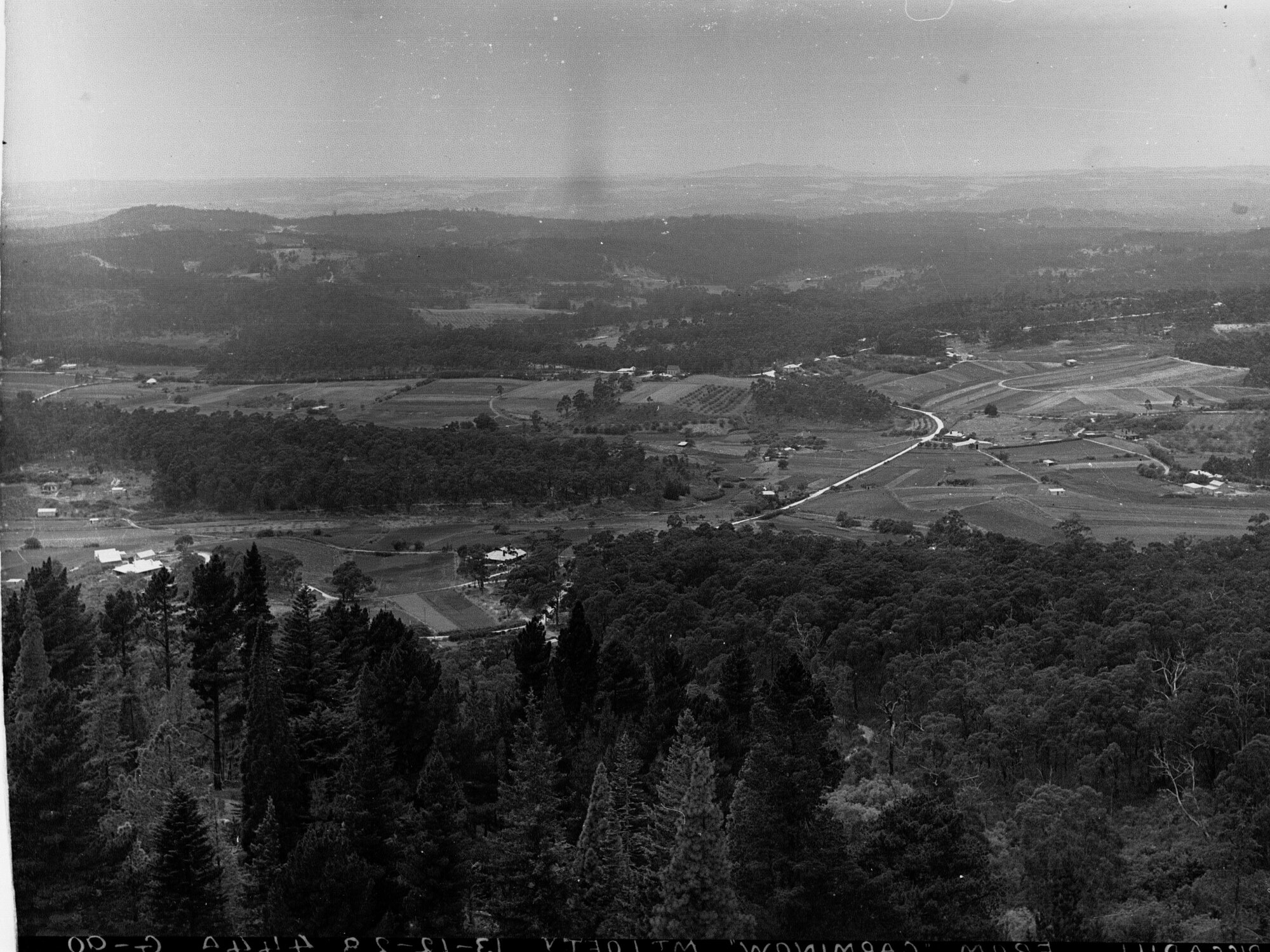 Piccadilly from "Carminow" Mt Lofty