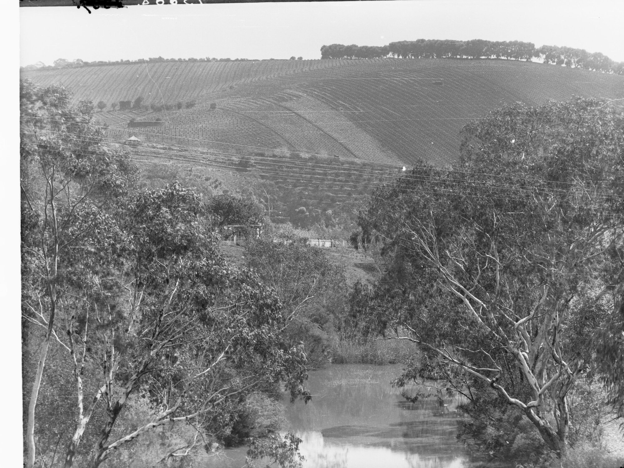 Mount Lofty Ranges, View at Clarendon