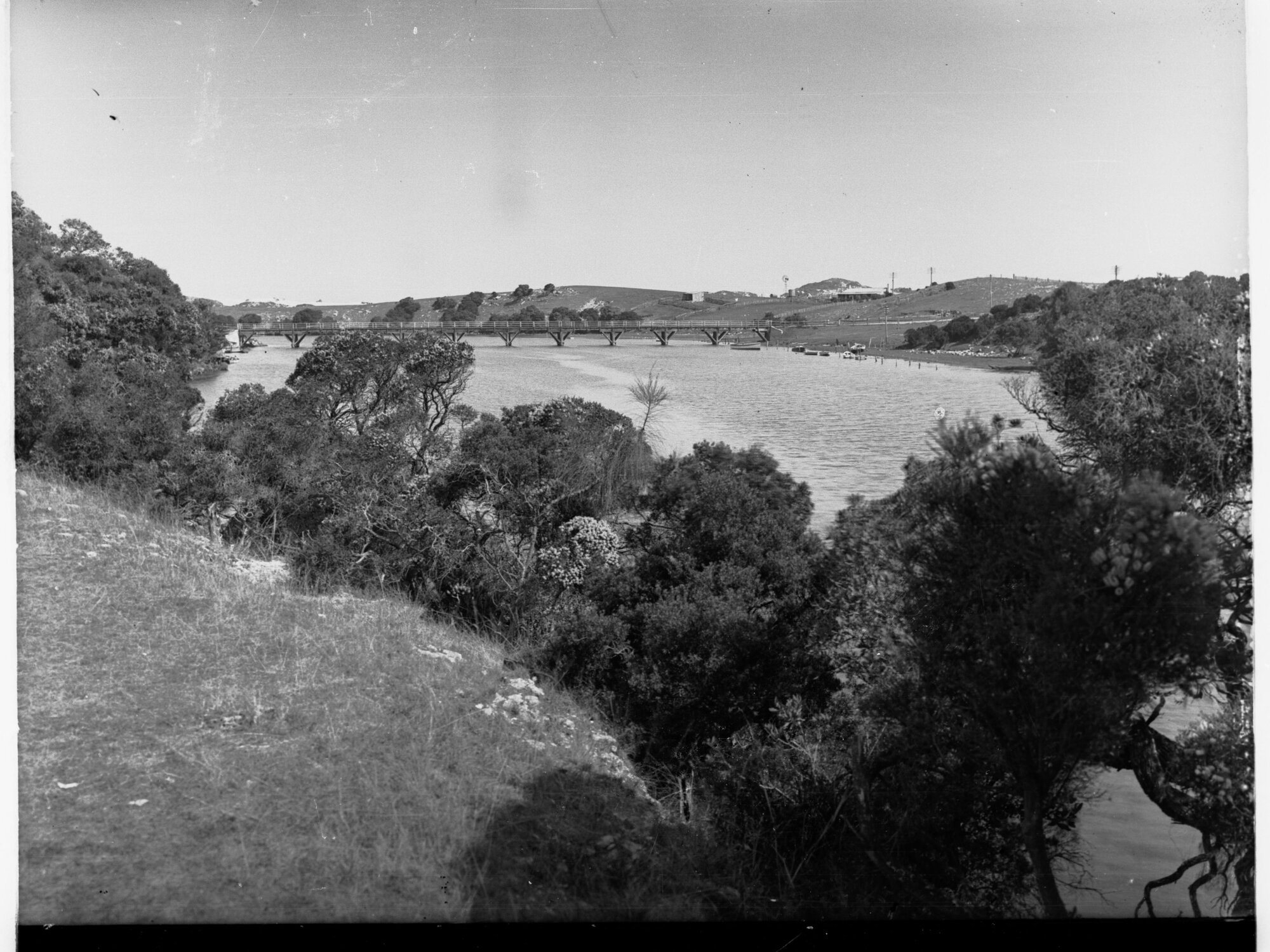 Bridge at Nelson