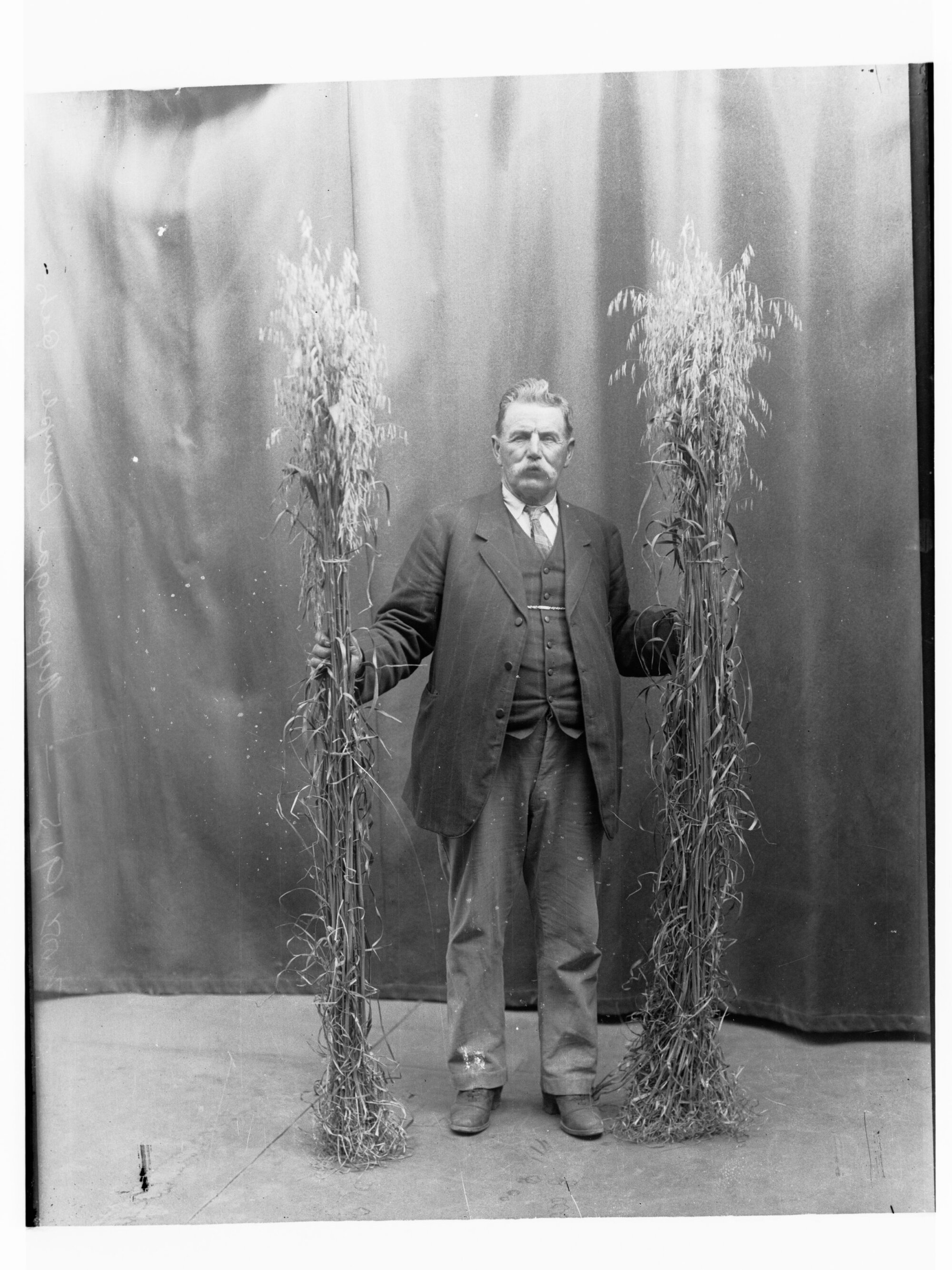 Man holding wheat at Myponga