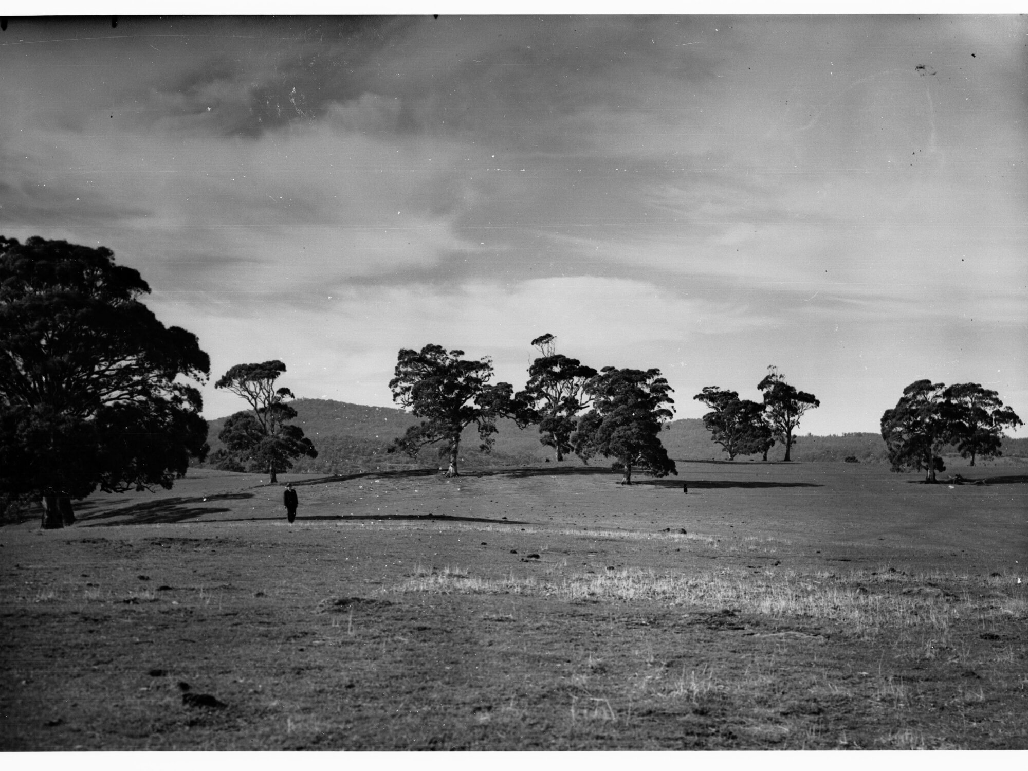 Mount Osmond golf links