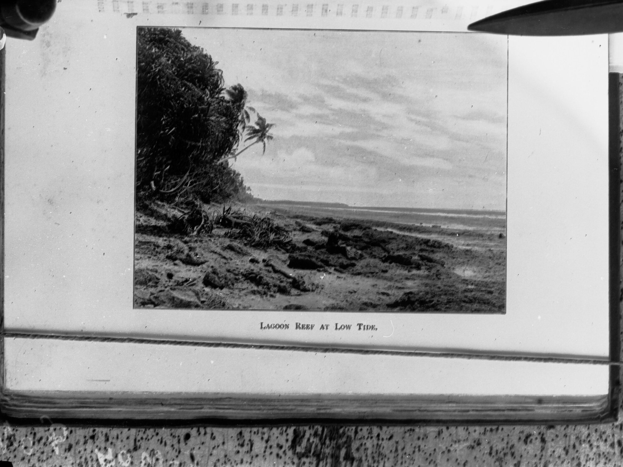 Lagoon Reef at Low Tide