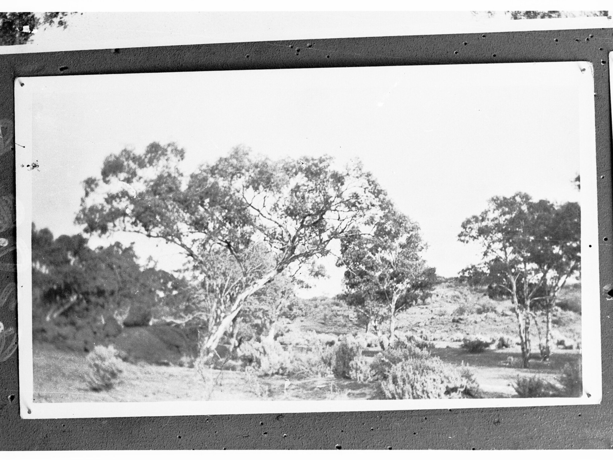 Rural view showing trees - no other information recorded