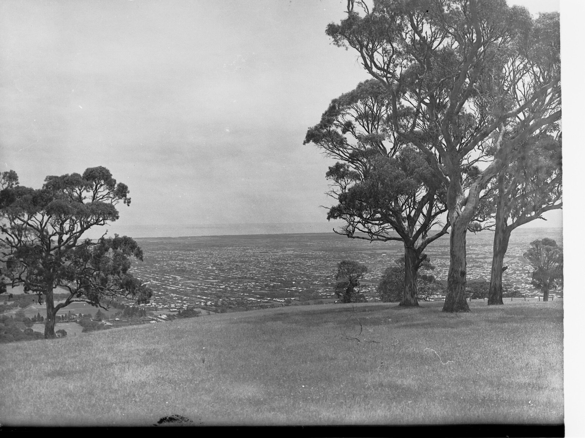 Mount Osmond