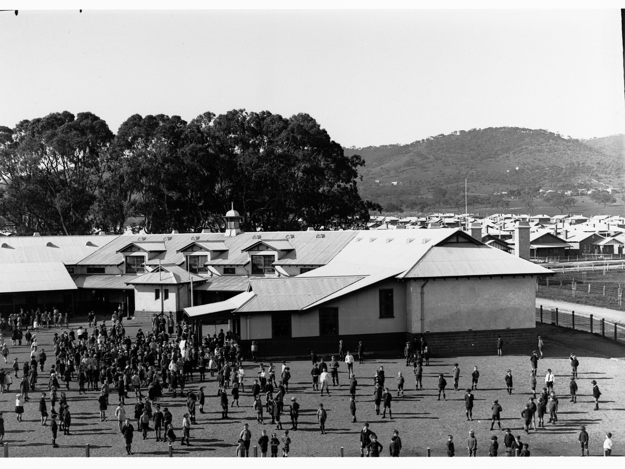 Colonel Light Gardens School showing children in the playground