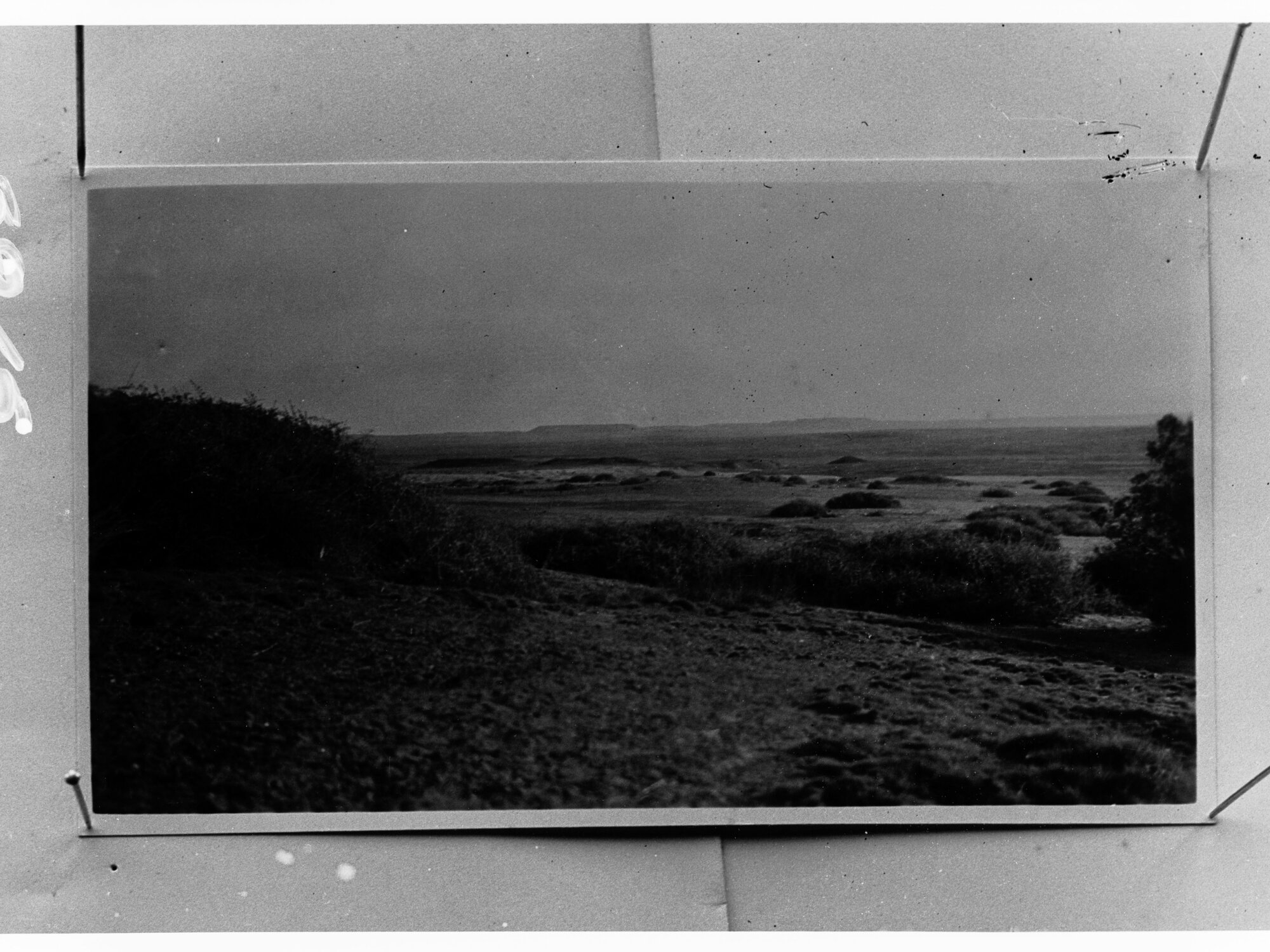 Rural view - location unknown, no information recorded