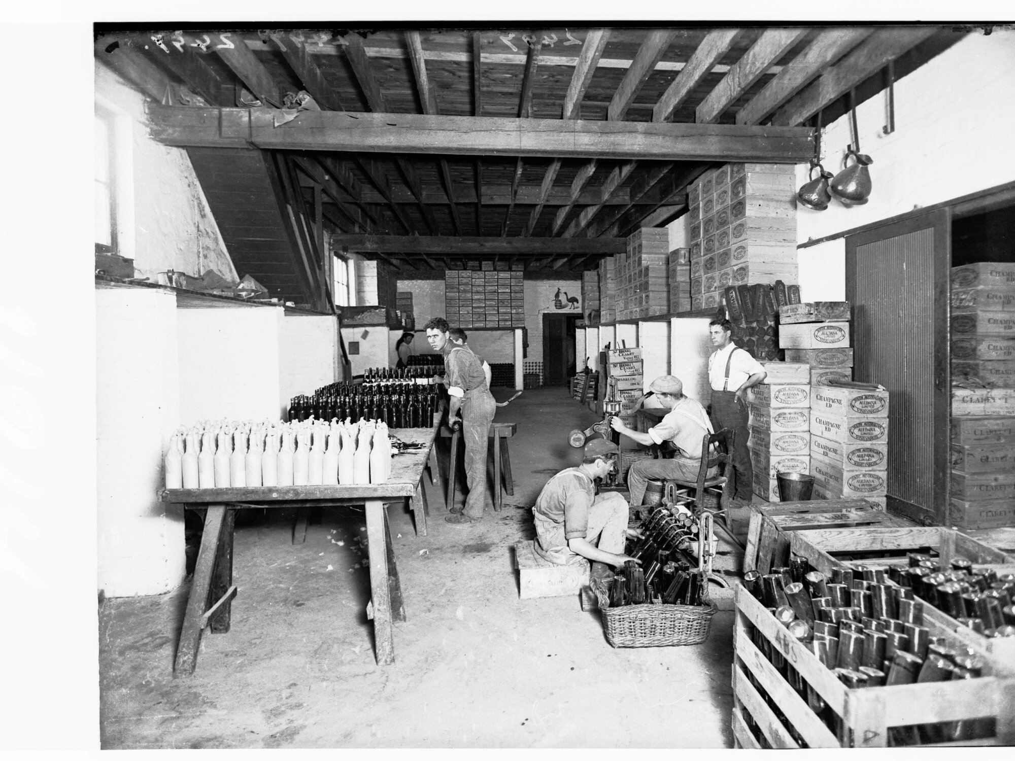 Champagne bottling at Auldana