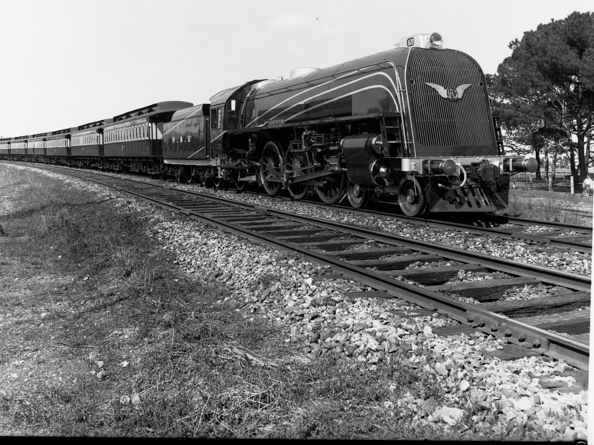 Centenary Train in Hills