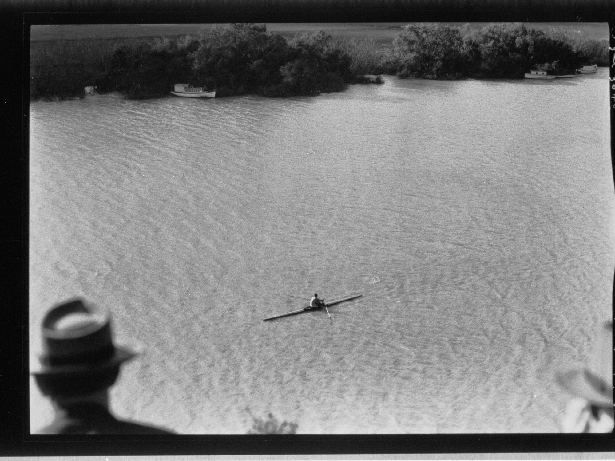 Rower in the Kings Cup on River Murray.