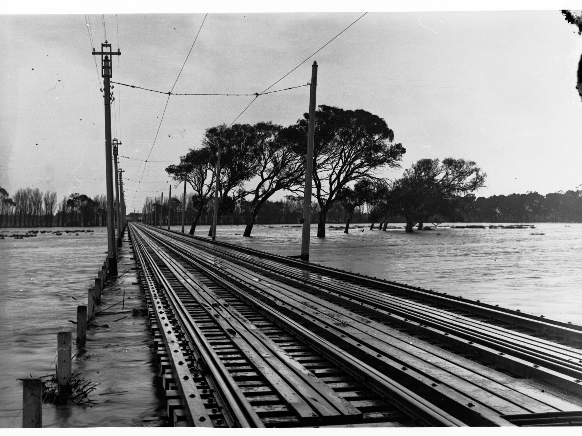 Viaduct on Henley Beach Tram Line at Lockleys