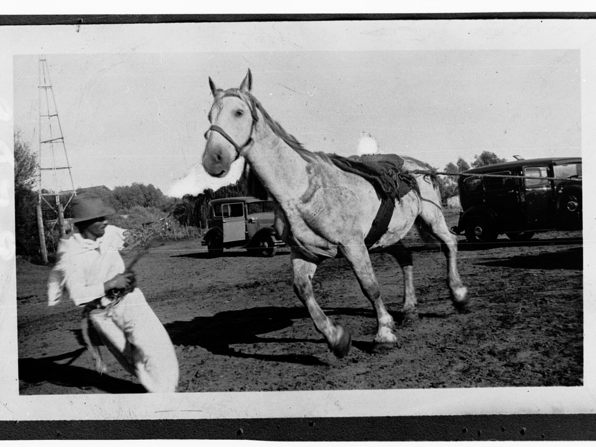 Breaking in a horse