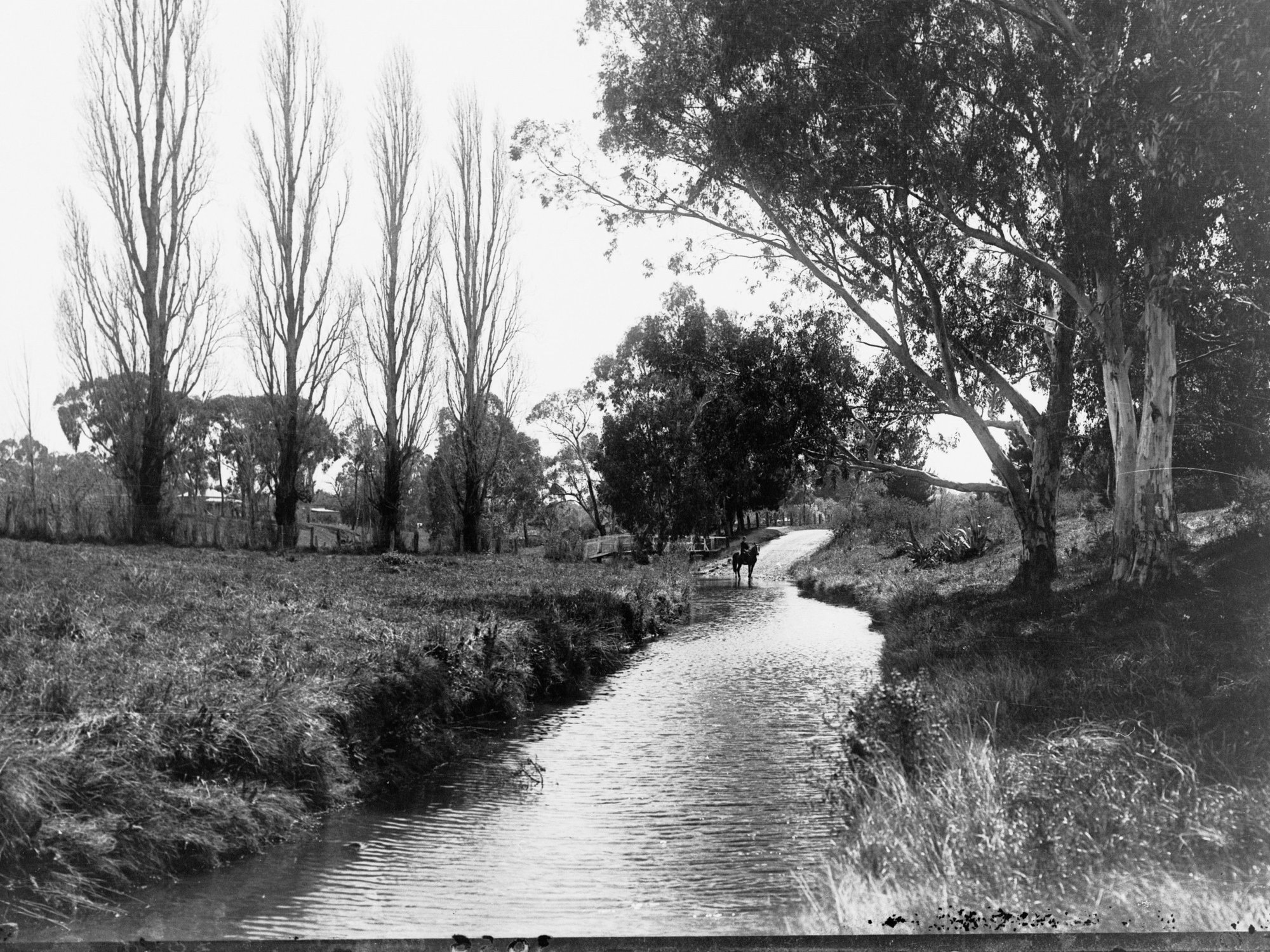 River With a Horse Near Bridge at Clare