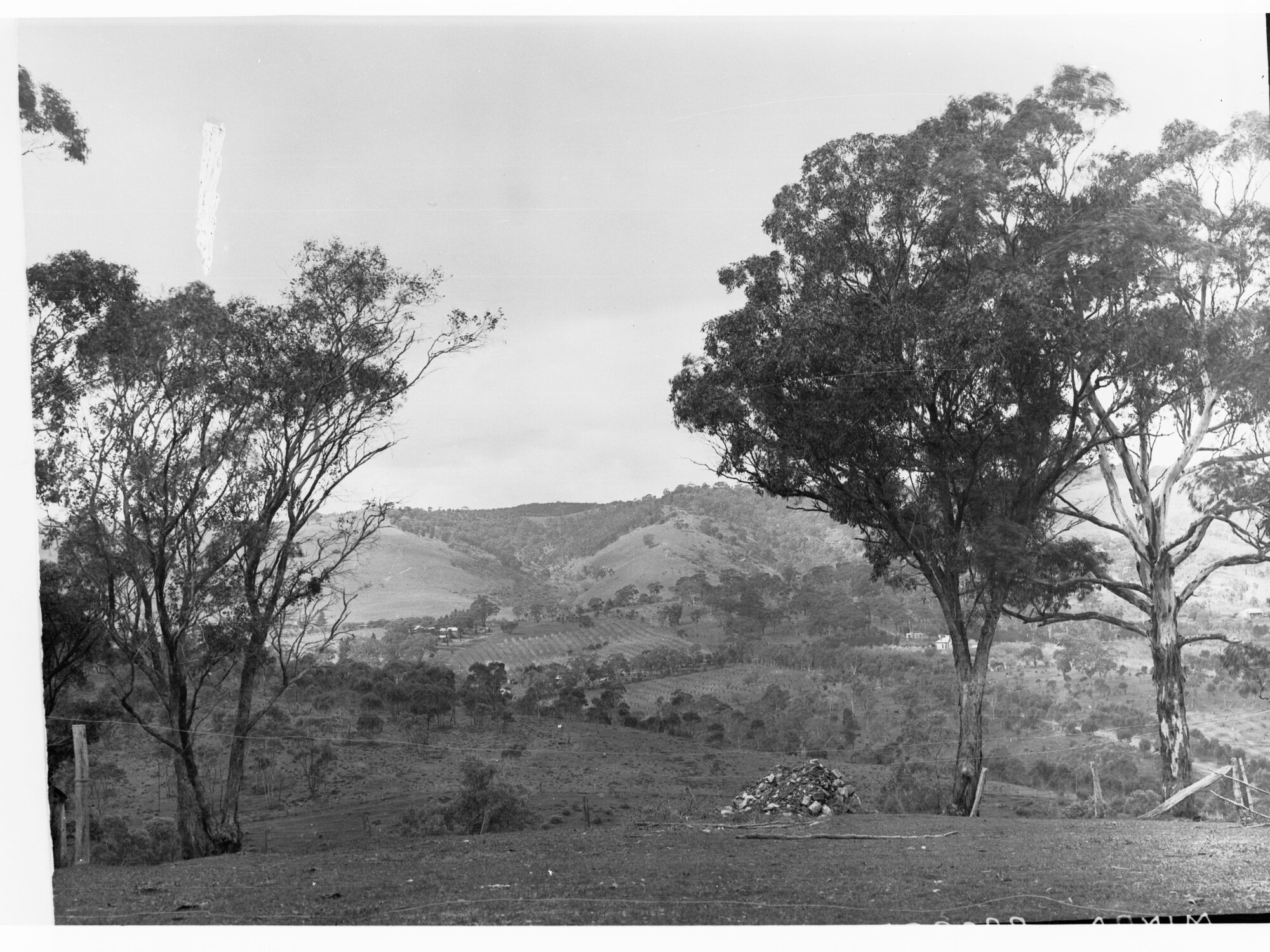 Cleared land at Minda Home's Craigburn Farm, mid 1920s