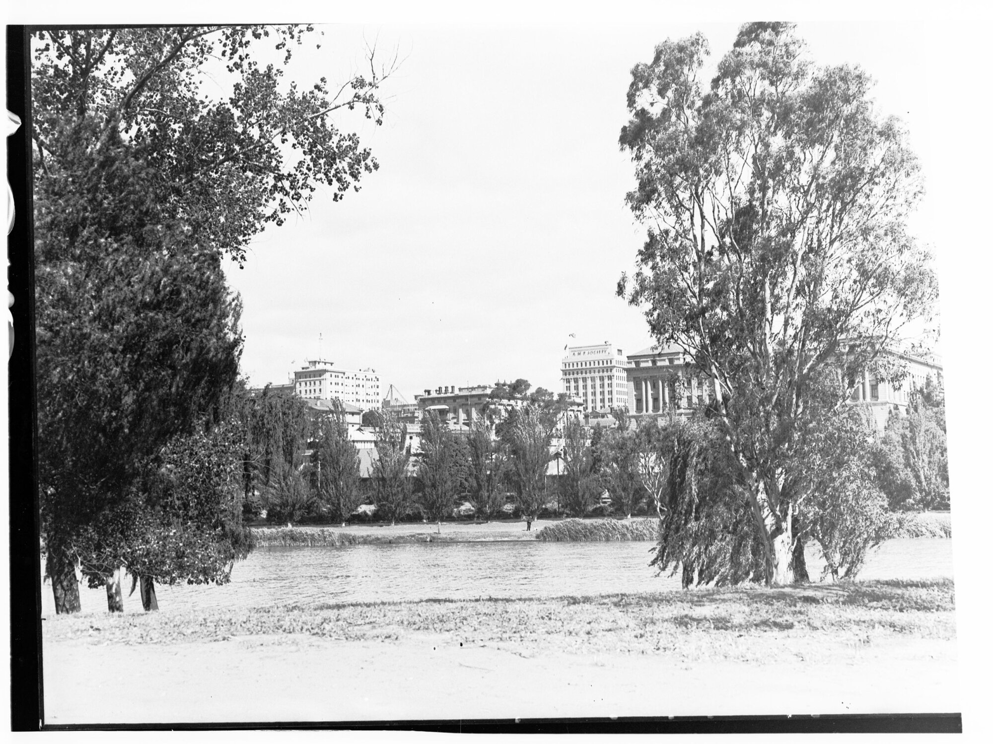 Adelaide from the northern bank of River Torrens