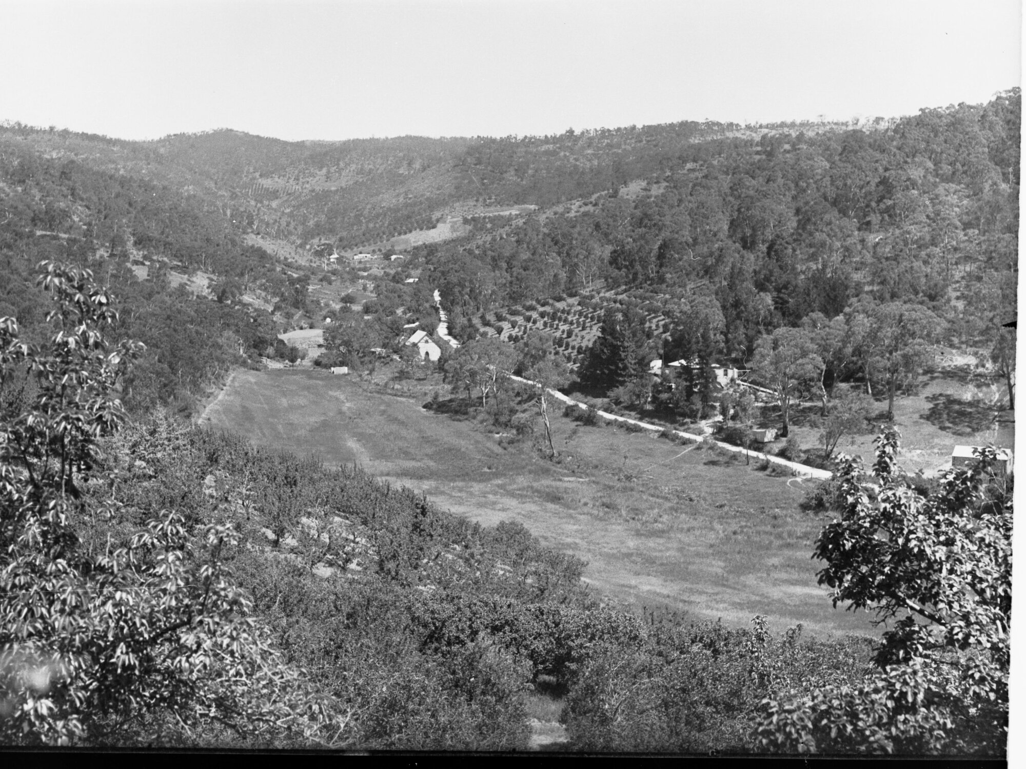 Farm, orchard and Institute, Institute Road, Montacute